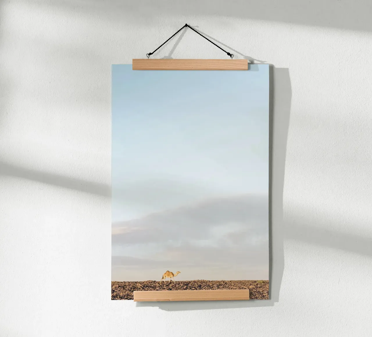 Lonely camel poster da photolovers