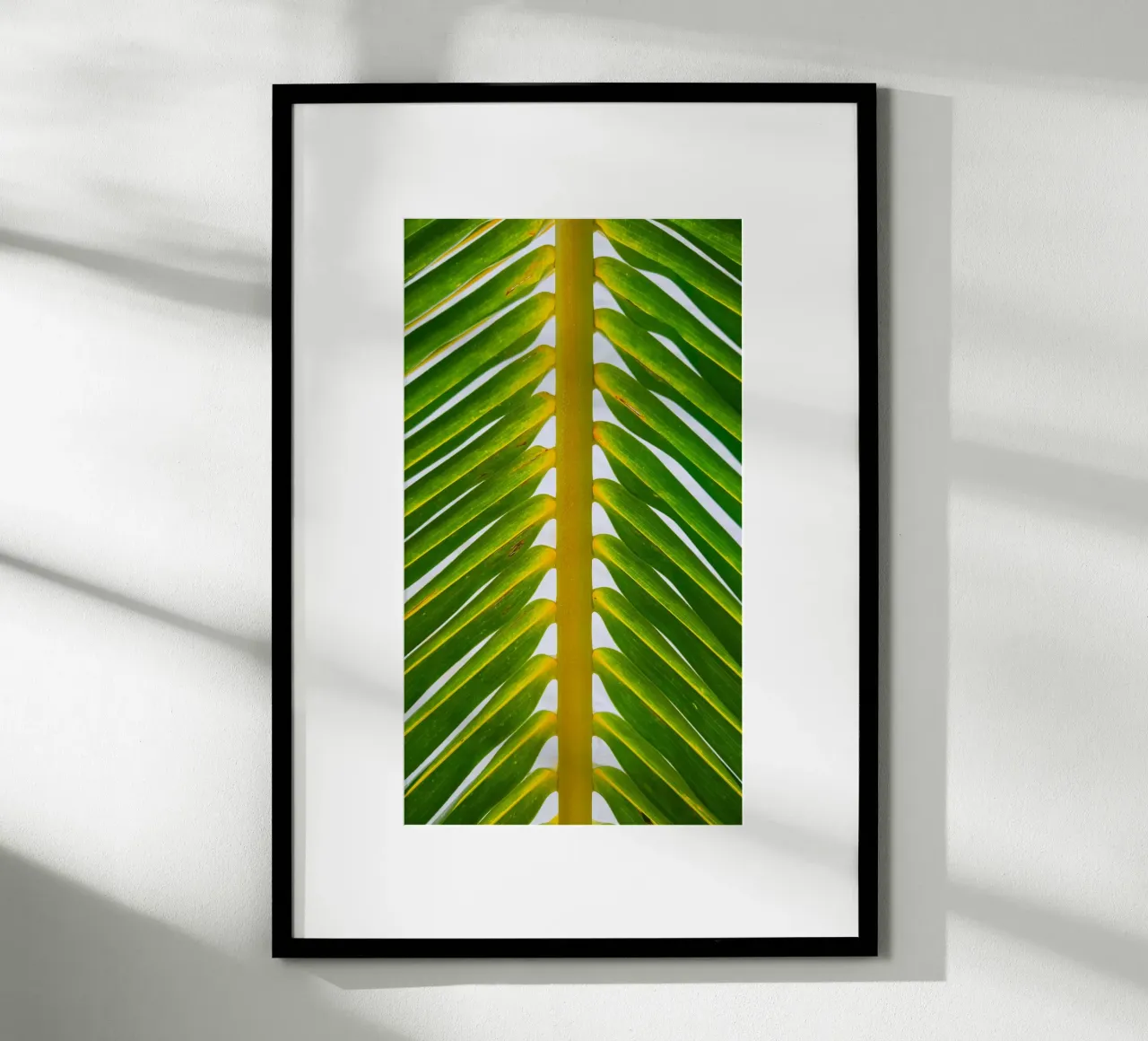 foglia di palma natura poster con telaio in plastica da Earthly Visions
