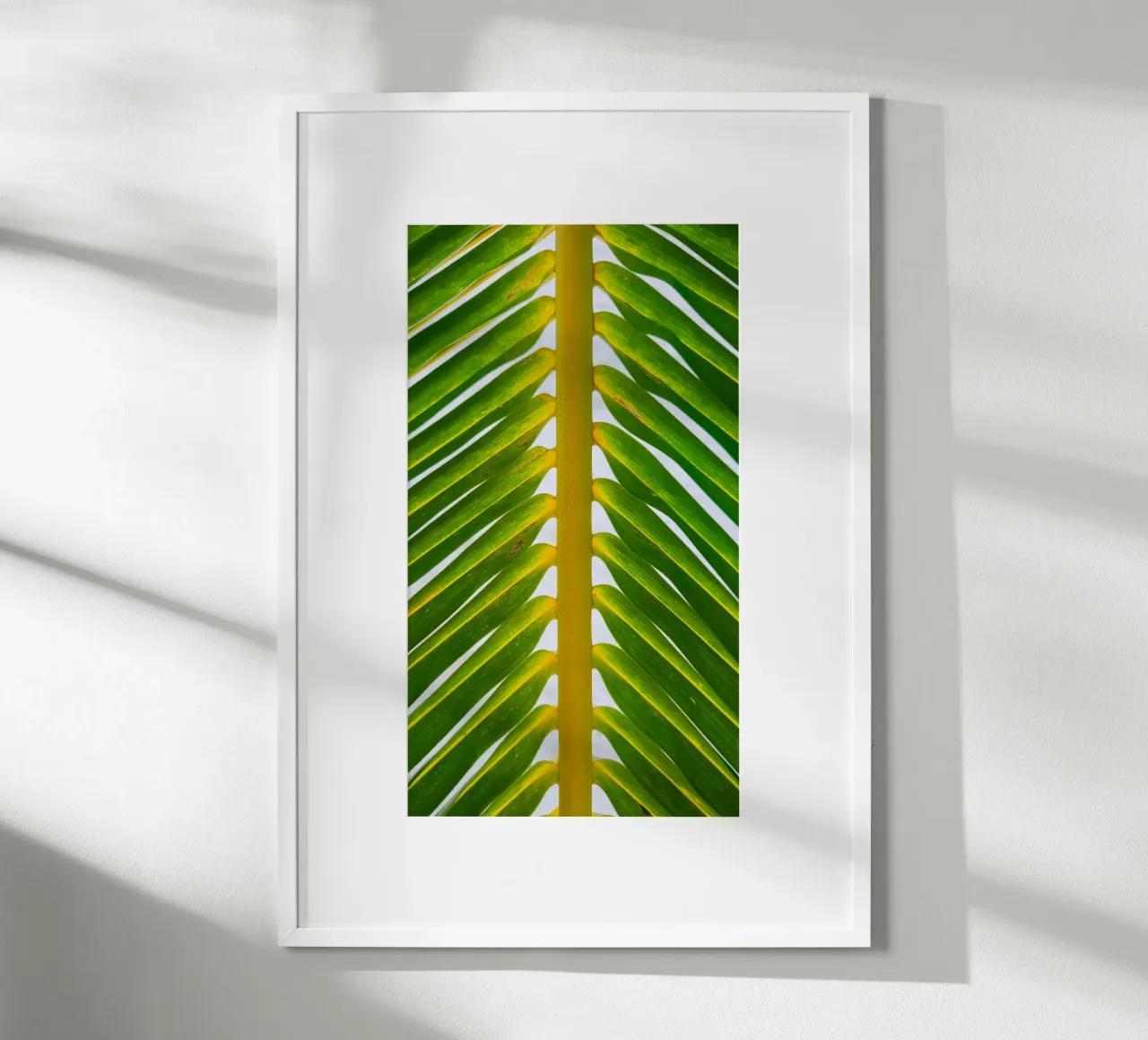 foglia di palma natura poster con telaio in plastica da Earthly Visions