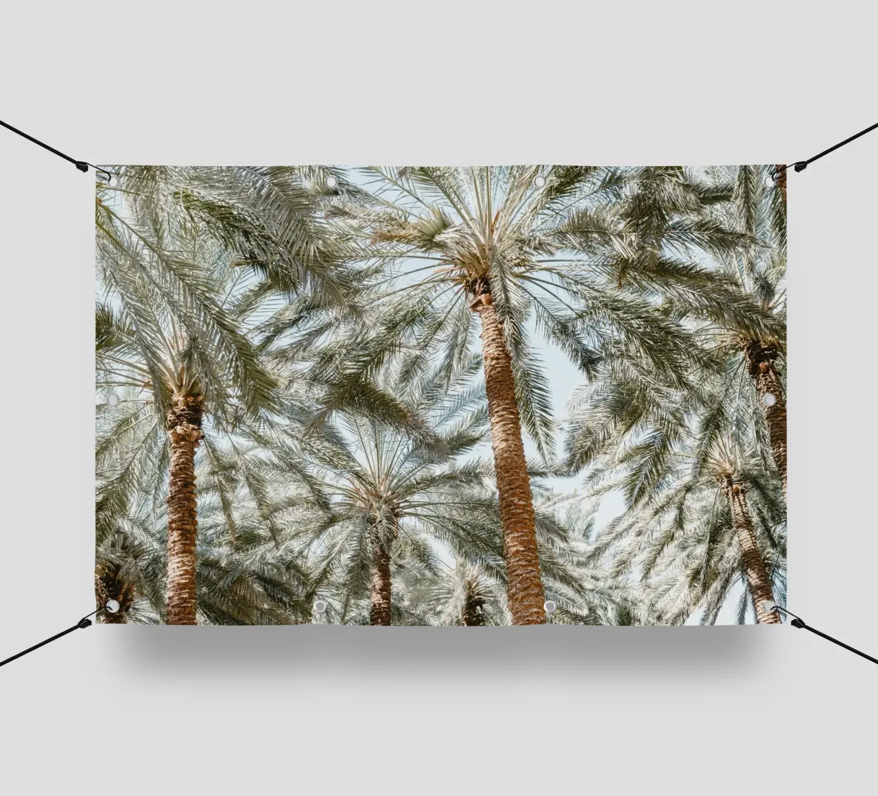 Oasis with palm trees telo in pvc da photolovers