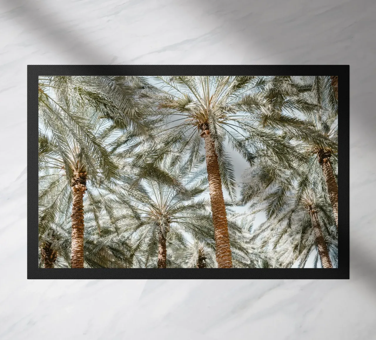 Oasis with palm trees zerbino da photolovers
