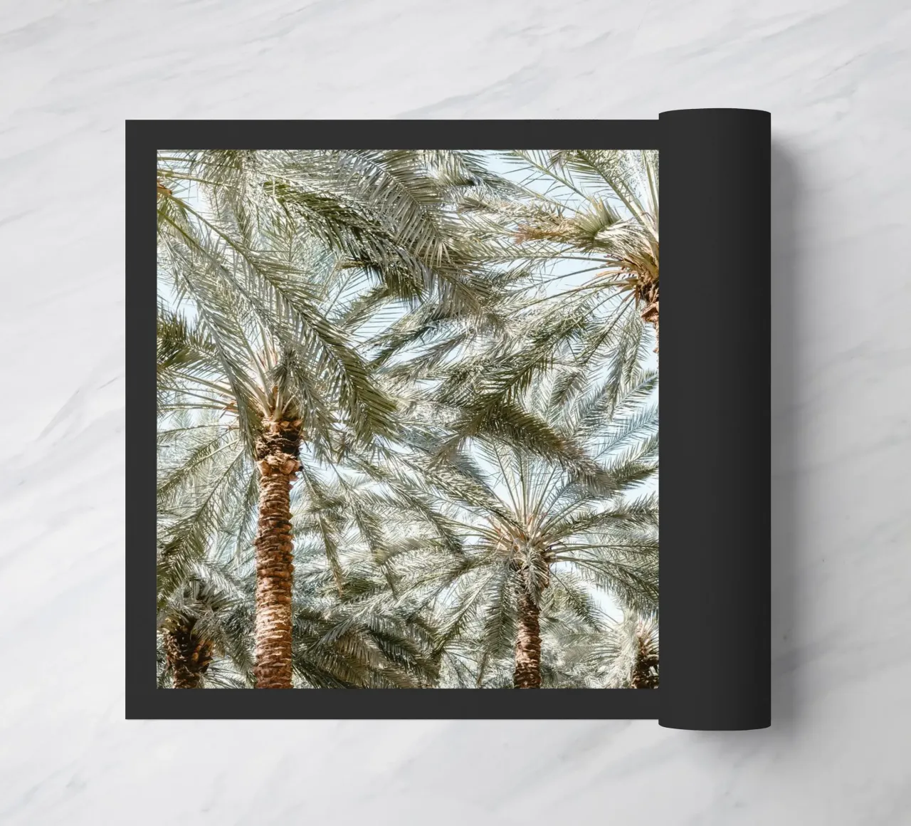Oasis with palm trees zerbino da photolovers