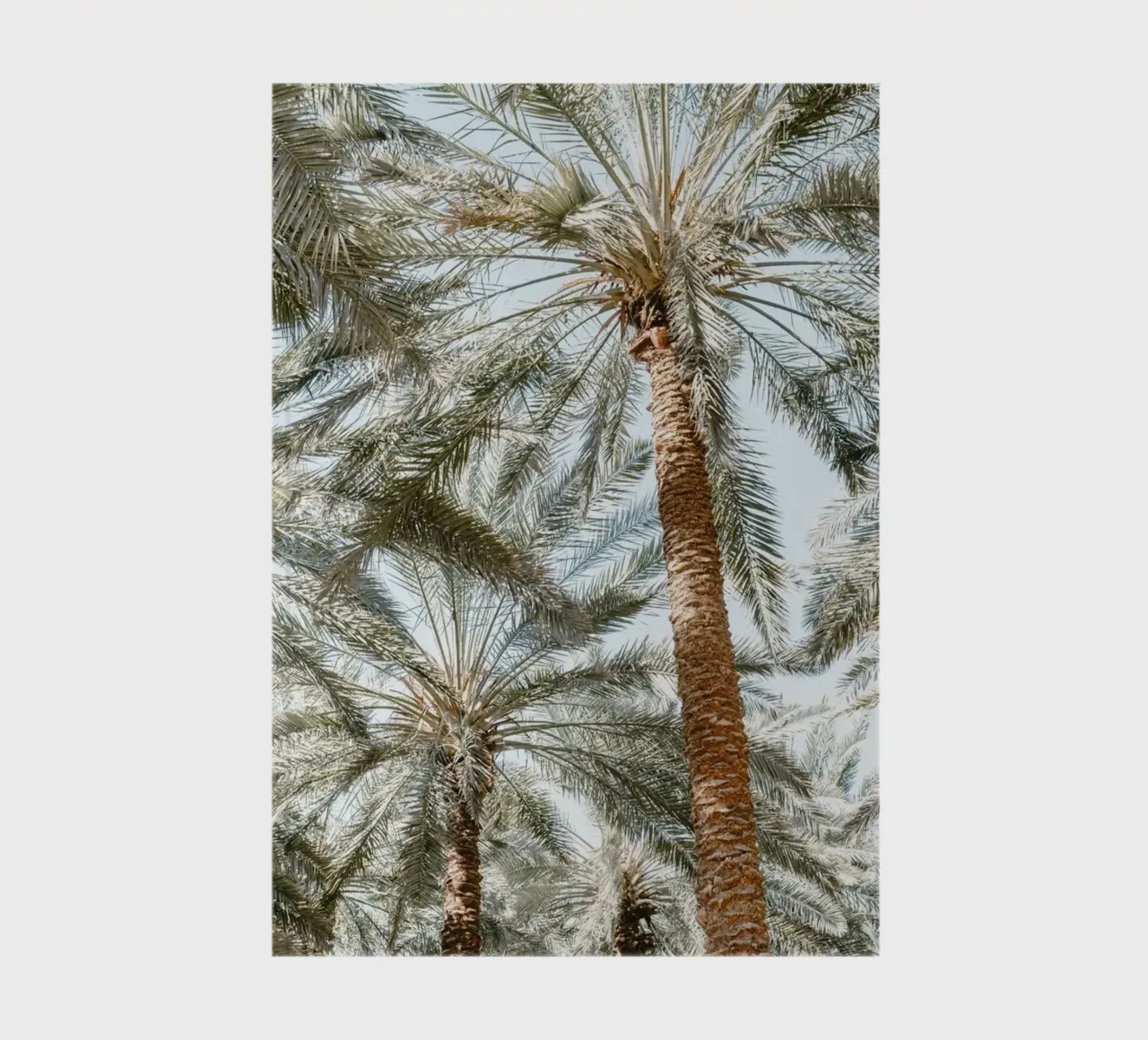 Oasis with palm trees notebook by photolovers