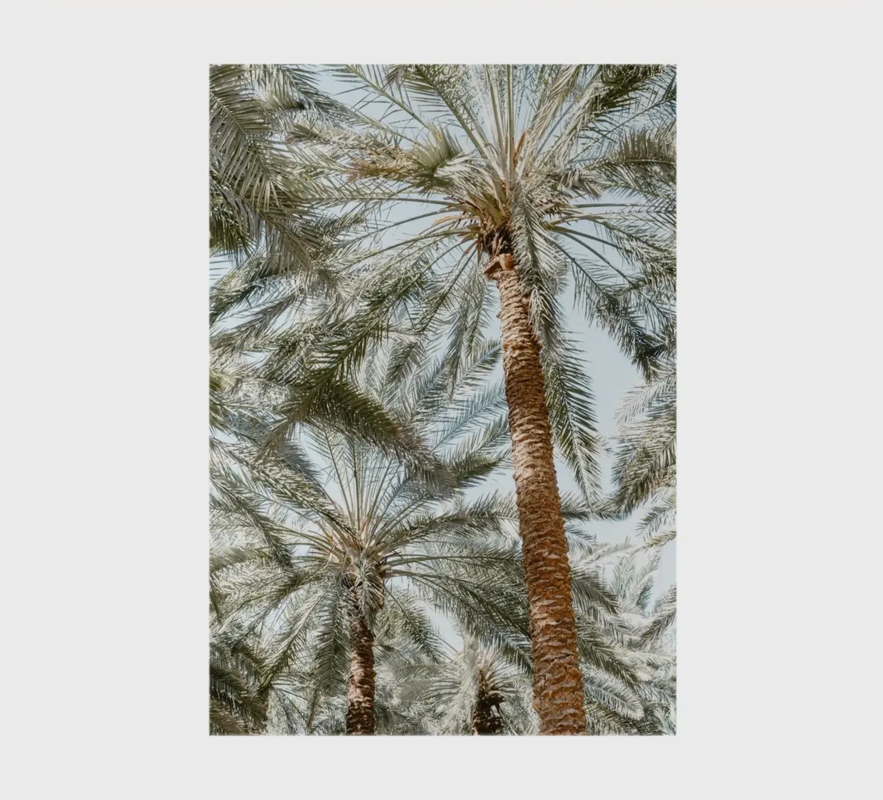 Oasis with palm trees notebook by photolovers