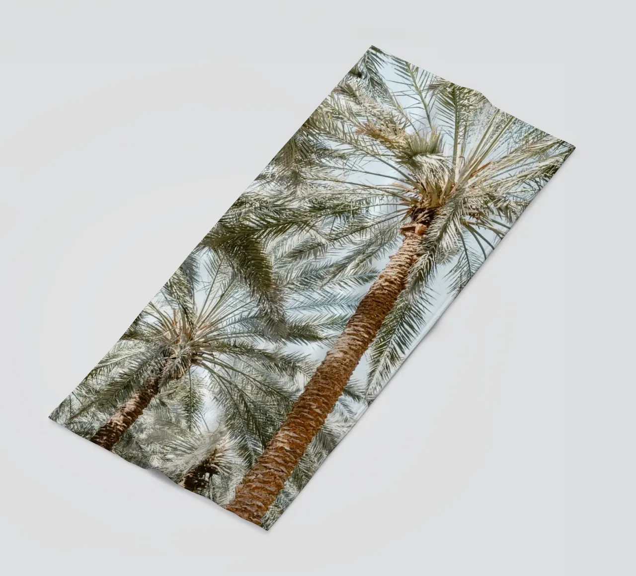 Oasis with palm trees telo mare da photolovers