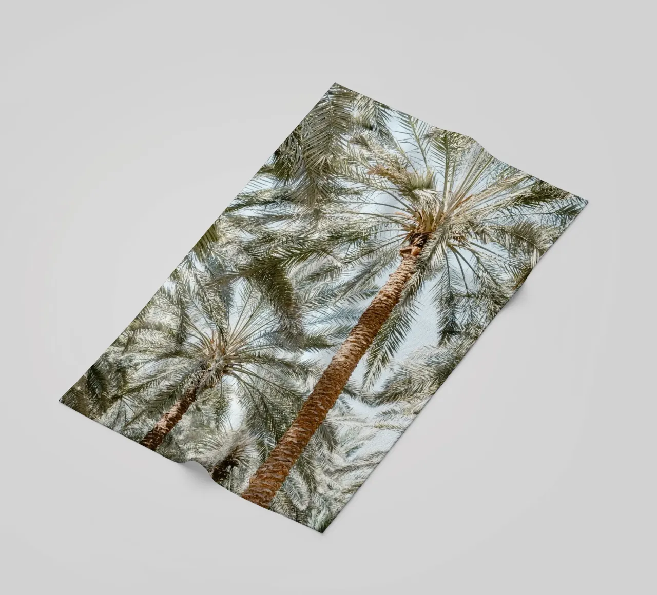 Oasis with palm trees telo mare da photolovers