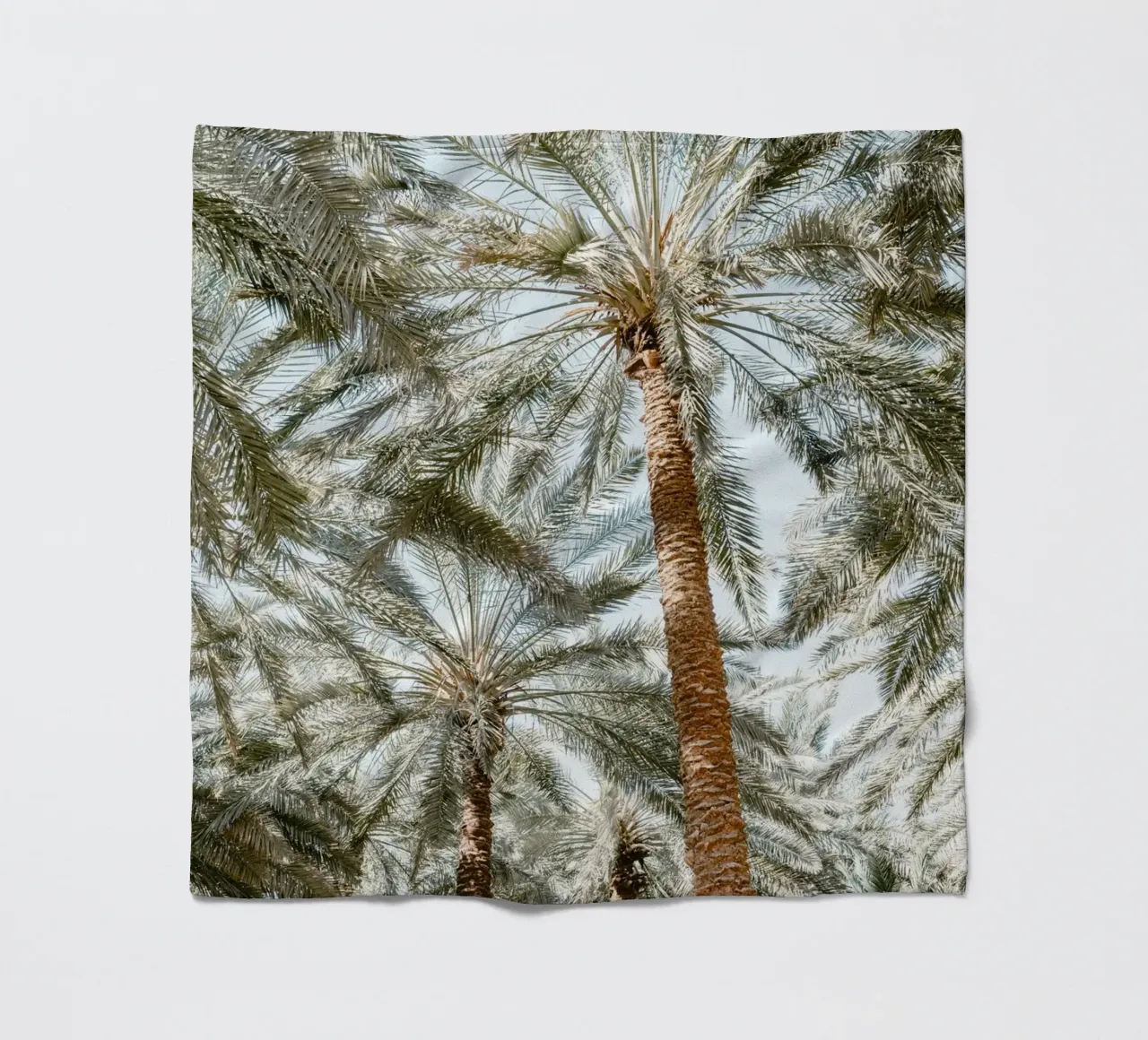 Oasis with palm trees coperta in pile da photolovers