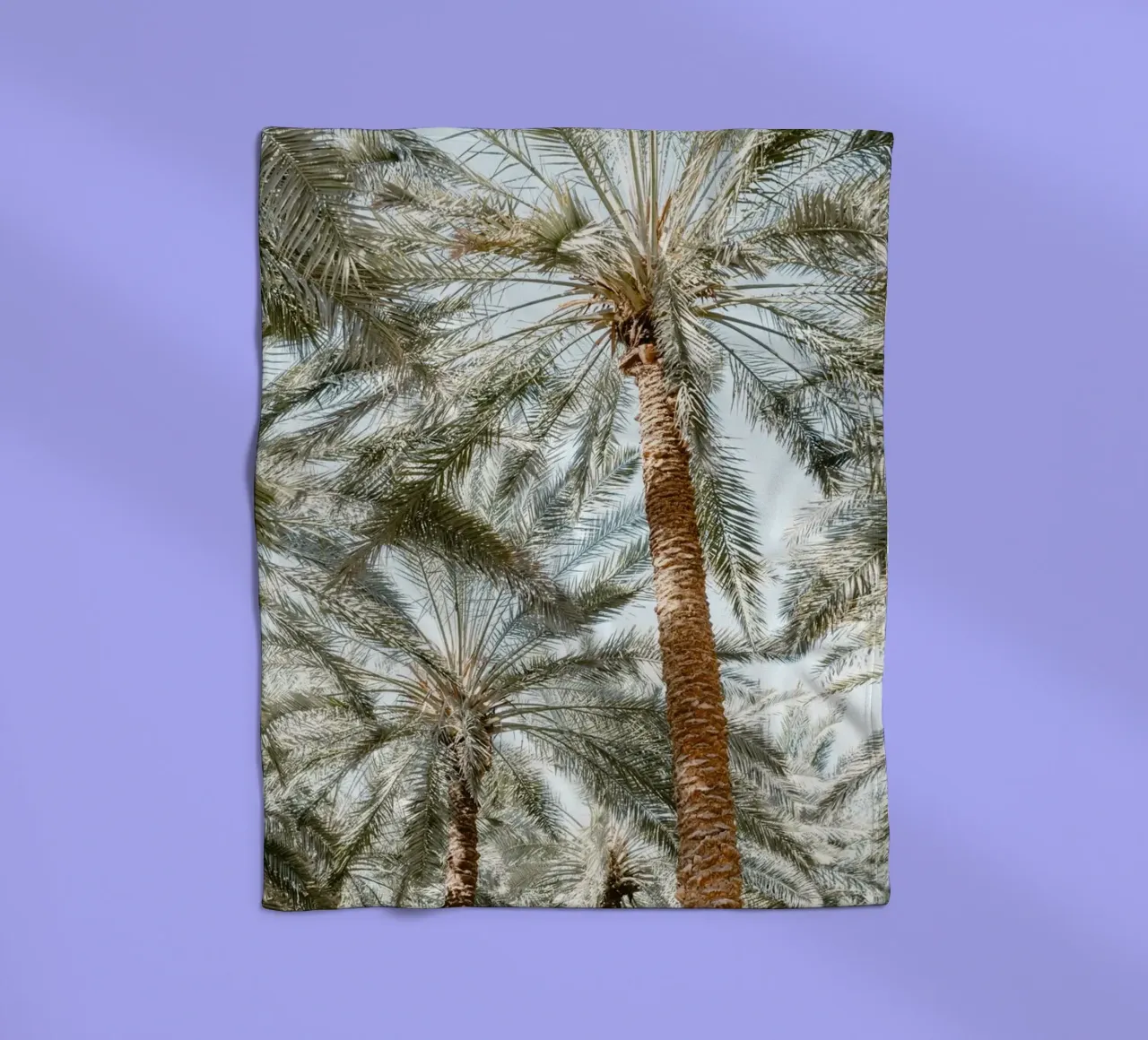 Oasis with palm trees coperta in pile da photolovers