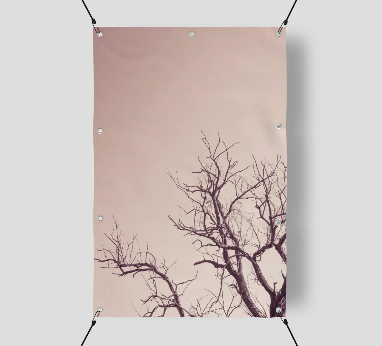 Pink sky and a tree telo in pvc da photolovers