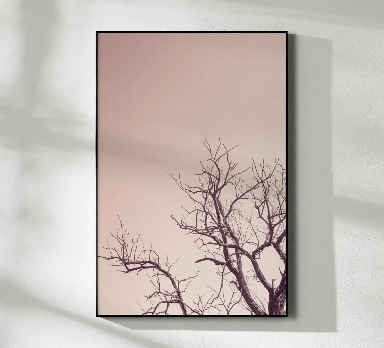 Pink sky and a tree plexiglass da photolovers