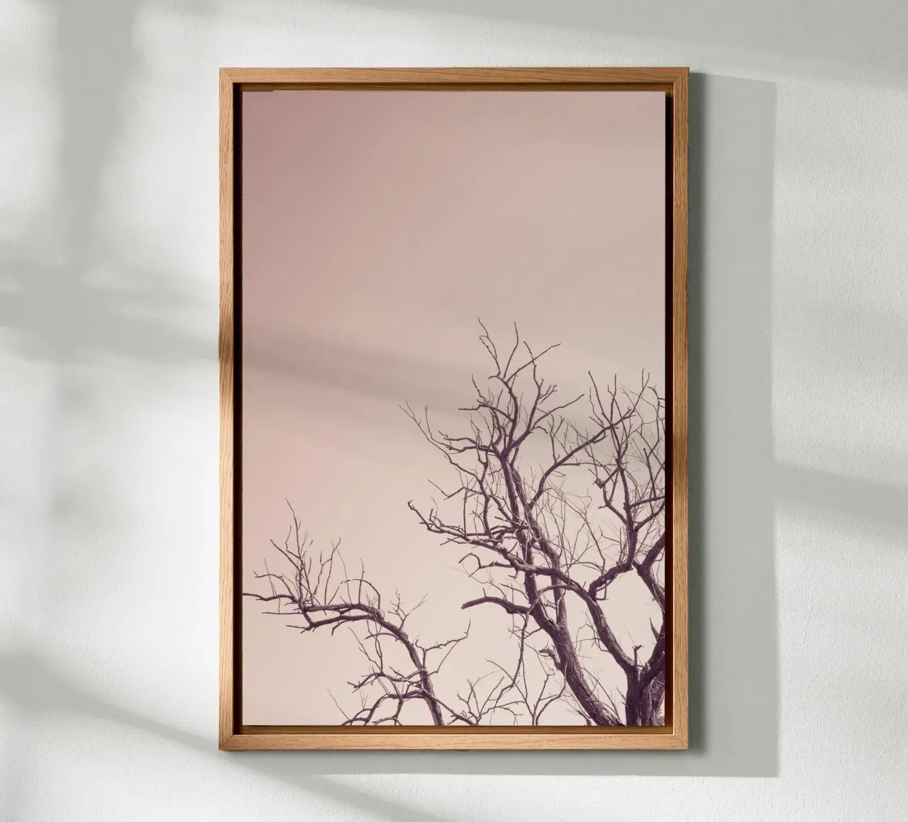 Pink sky and a tree alluminio dibond da photolovers