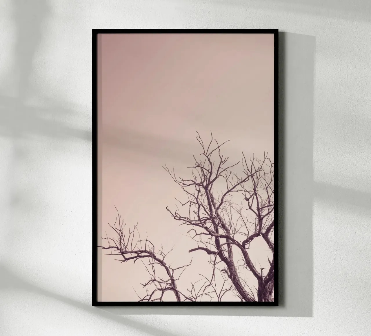 Pink sky and a tree carta hahnemühle da photolovers