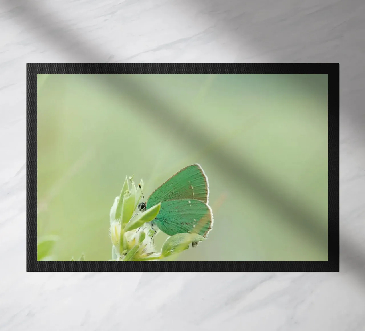 verde farfalla zerbino da Earthly Visions