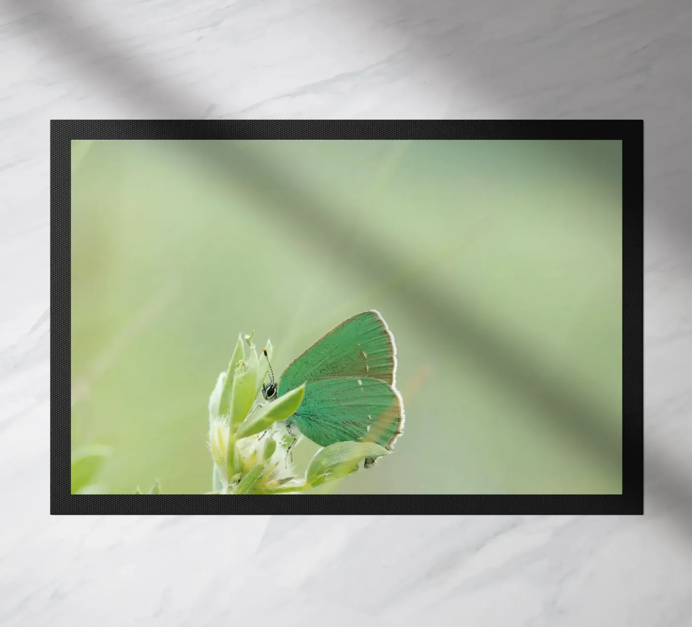 butterfly green doormat by Earthly Visions