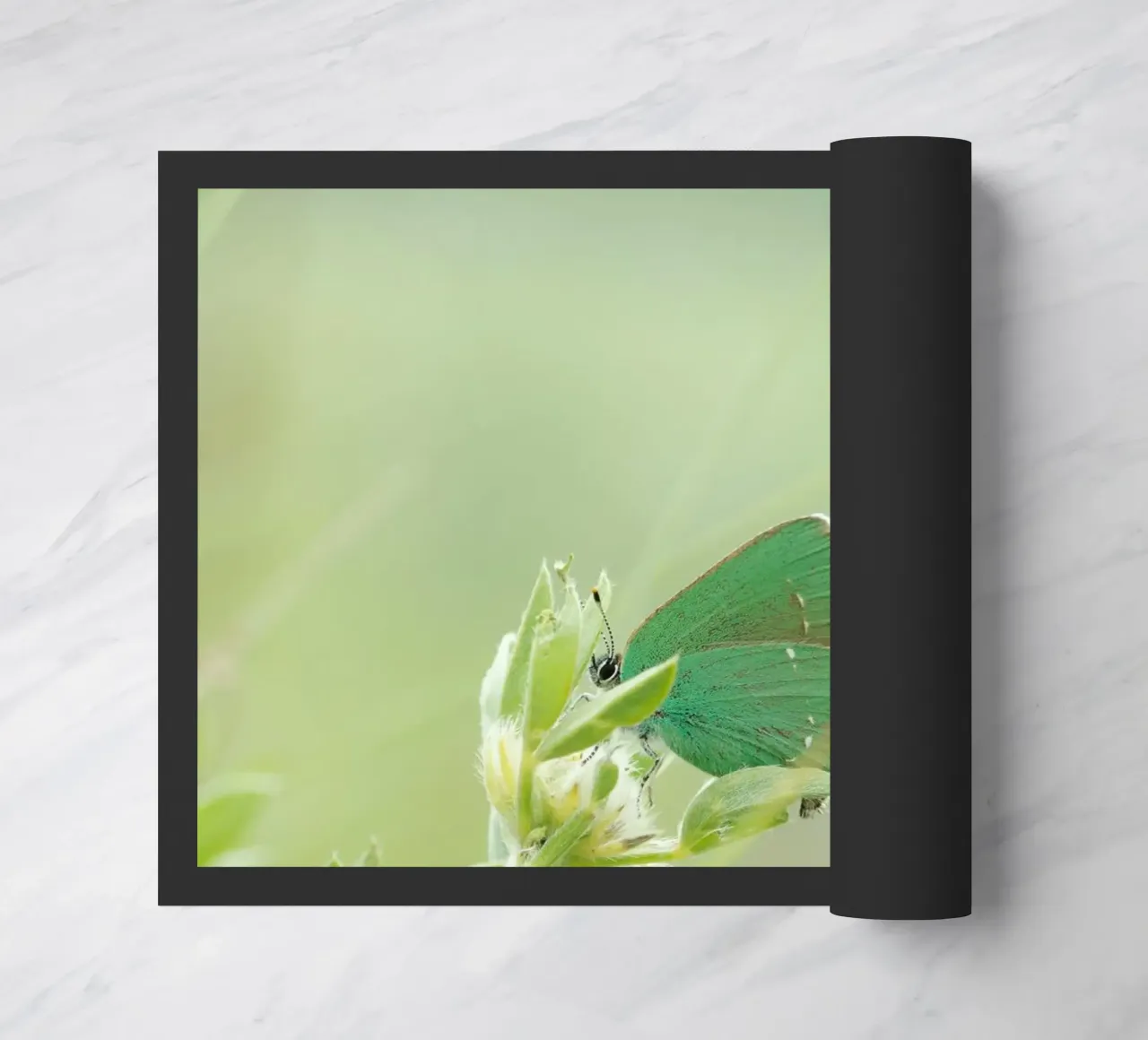 verde farfalla zerbino da Earthly Visions