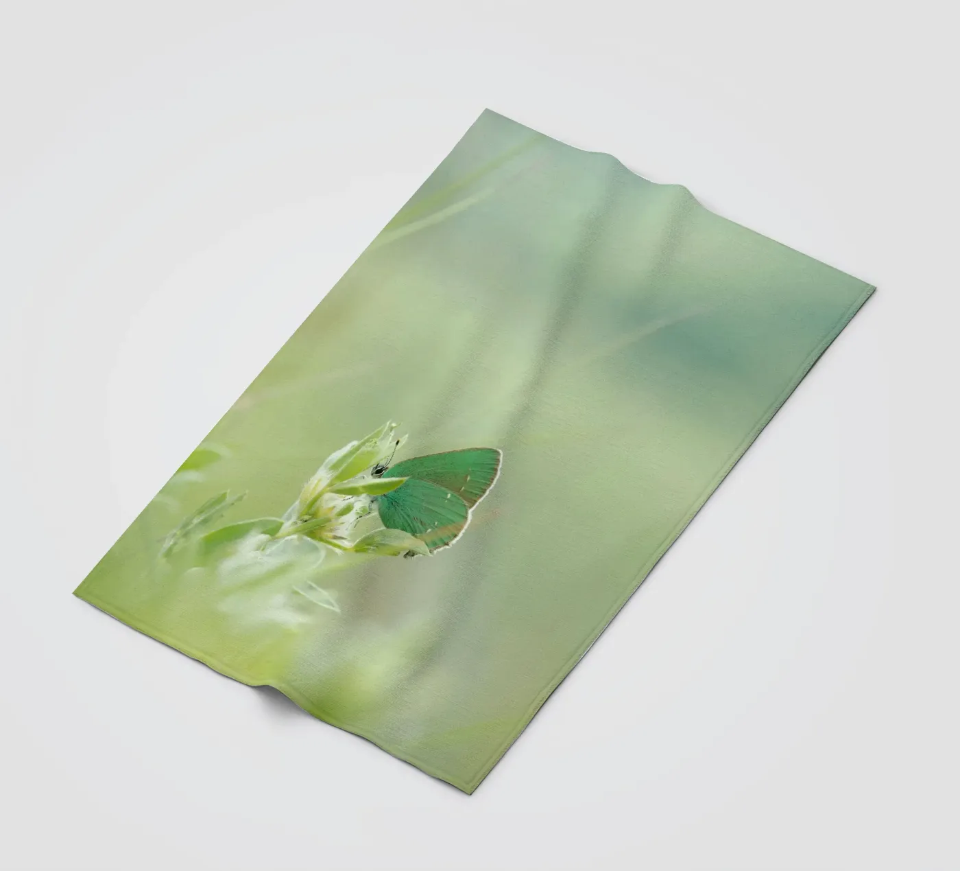 verde farfalla coperta in pile da Earthly Visions