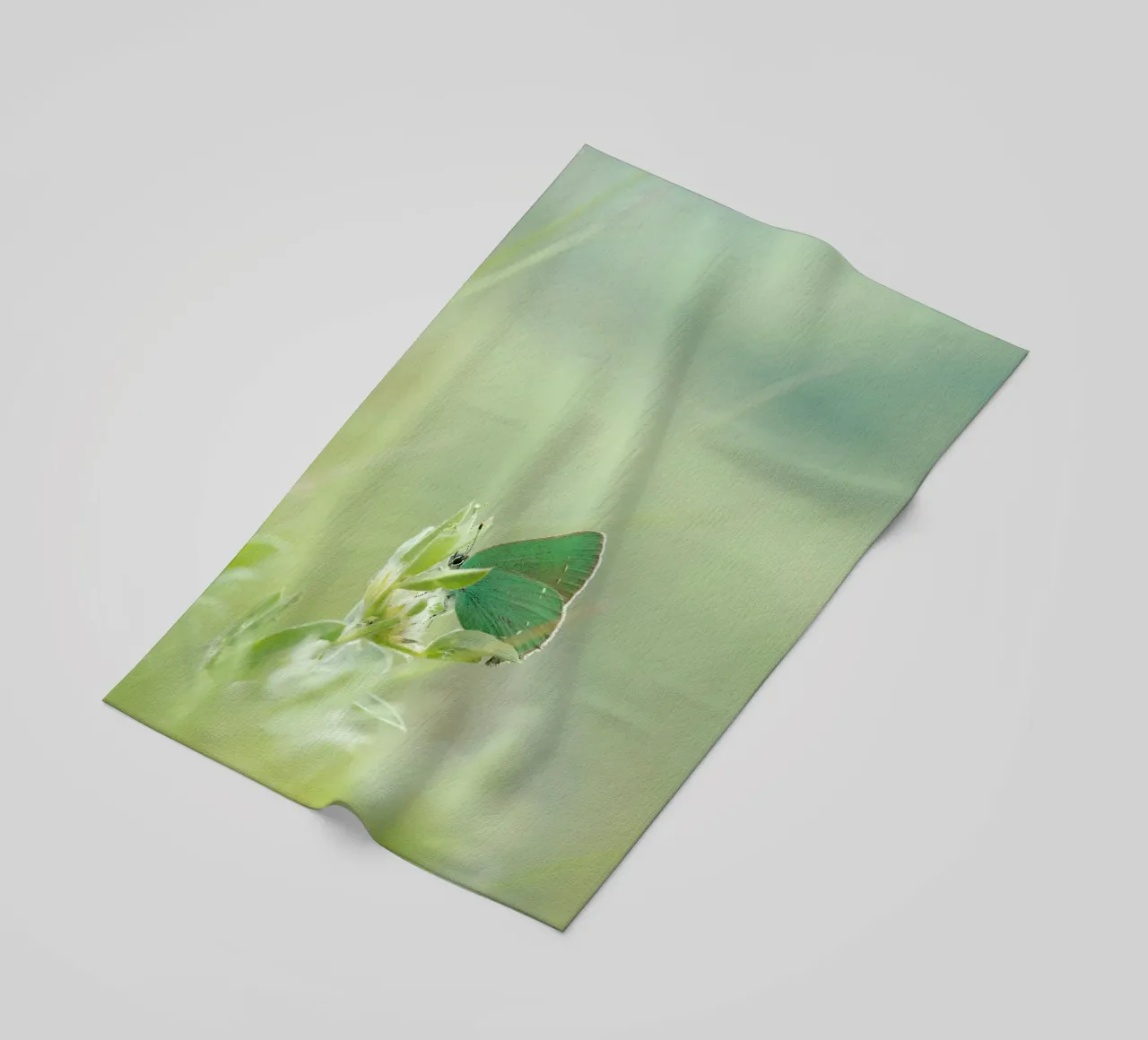 verde farfalla telo mare da Earthly Visions