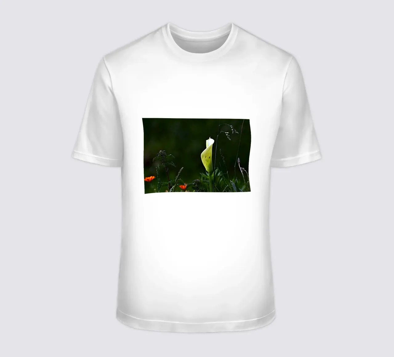 FAA328 UNA LUCE NEL VERDE. t-shirt da Thierry vobmann photography