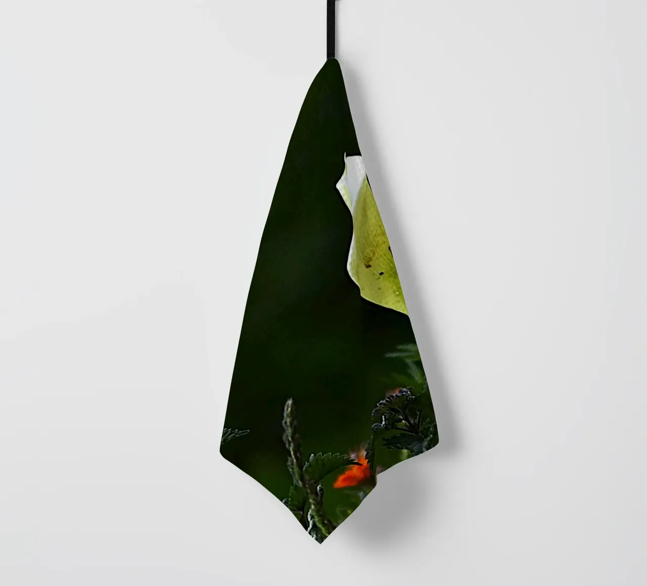 FAA328 UNA LUCE NEL VERDE. canovaccio da cucina da Thierry vobmann photography