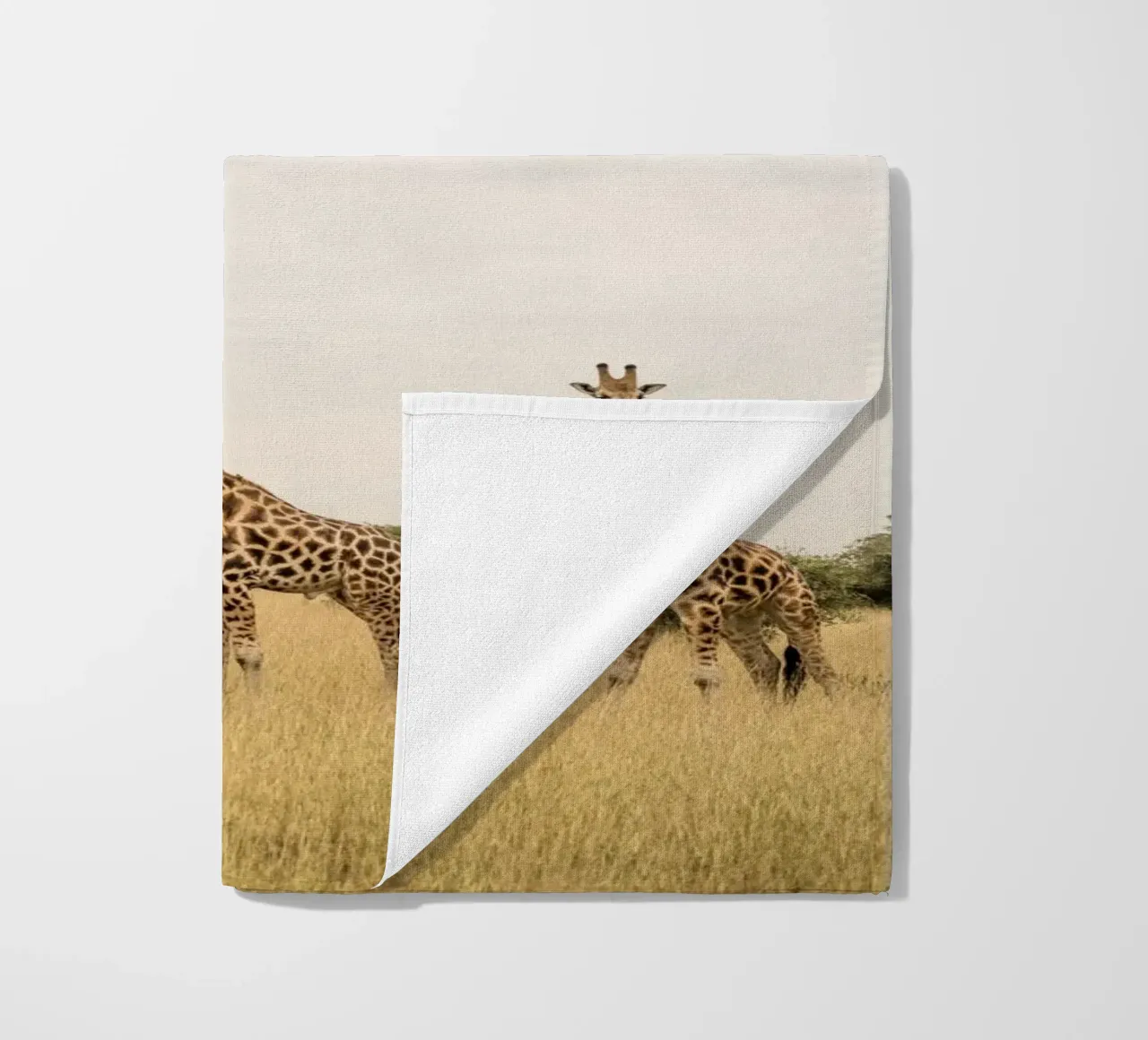 Three giraffes on safari telo mare da photolovers