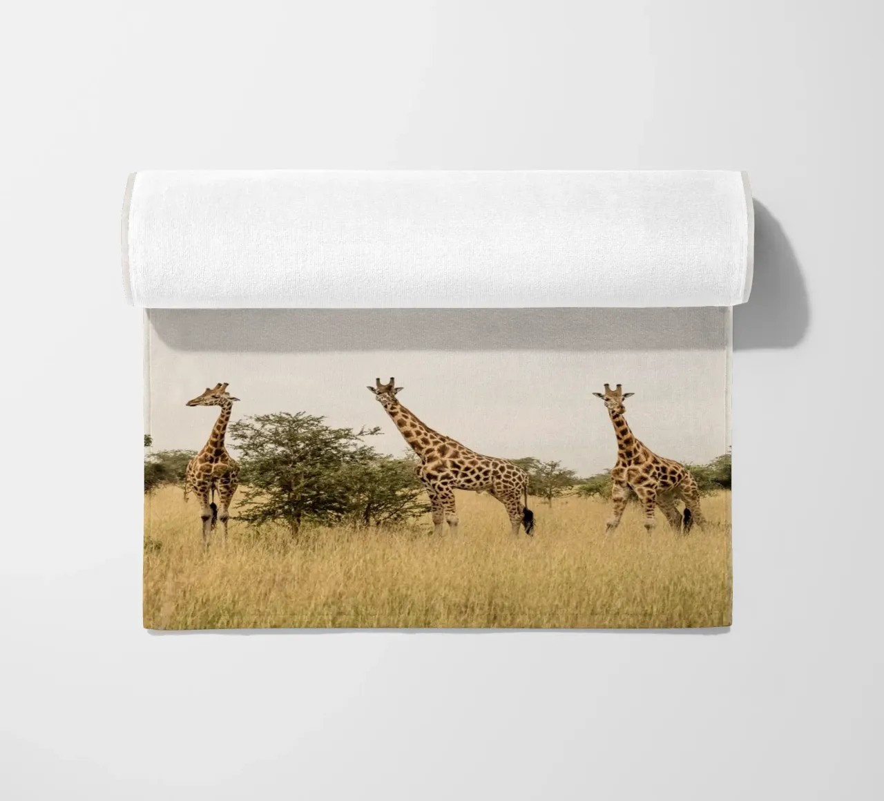 Three giraffes on safari telo mare da photolovers