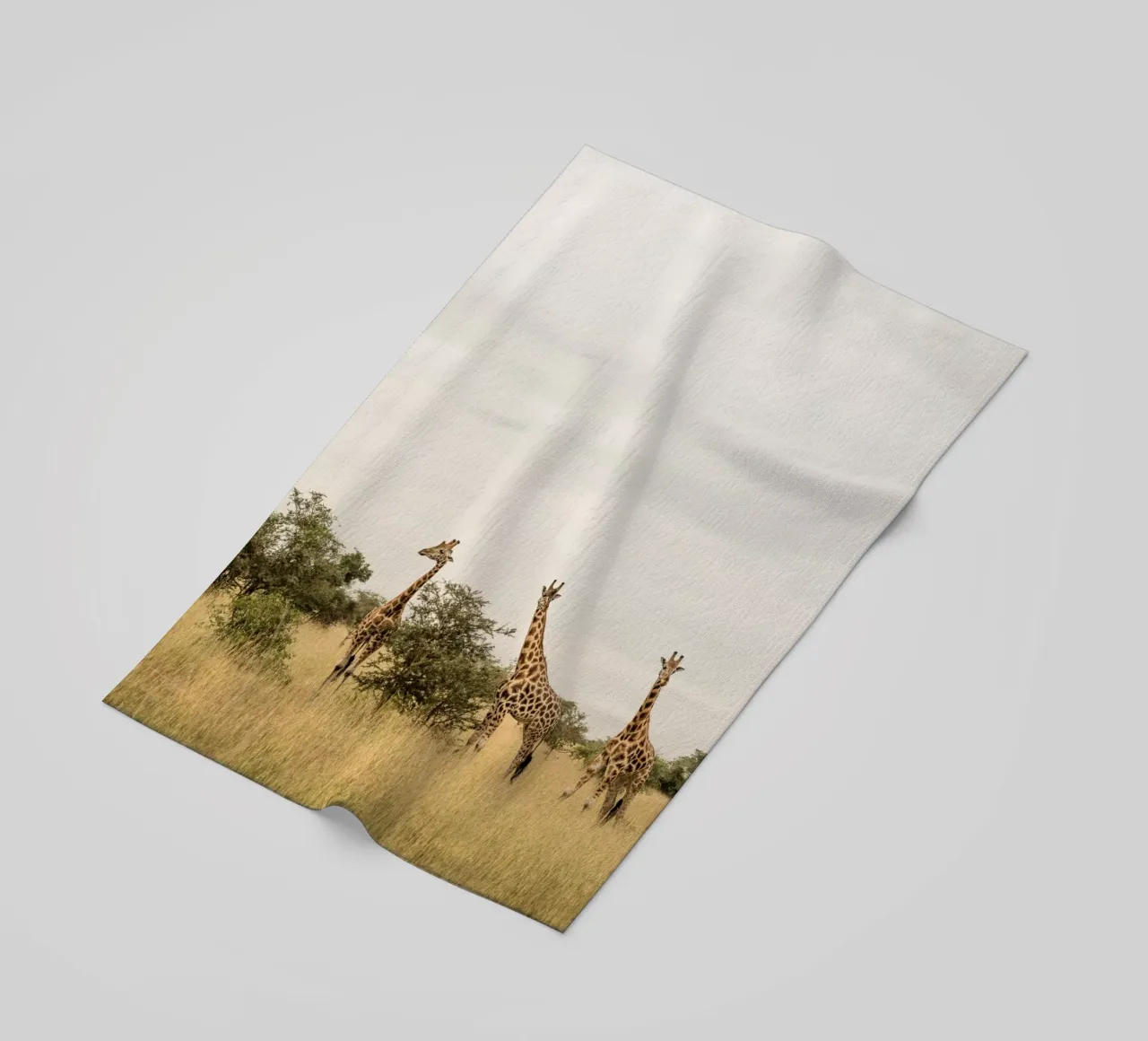 Three giraffes on safari telo mare da photolovers