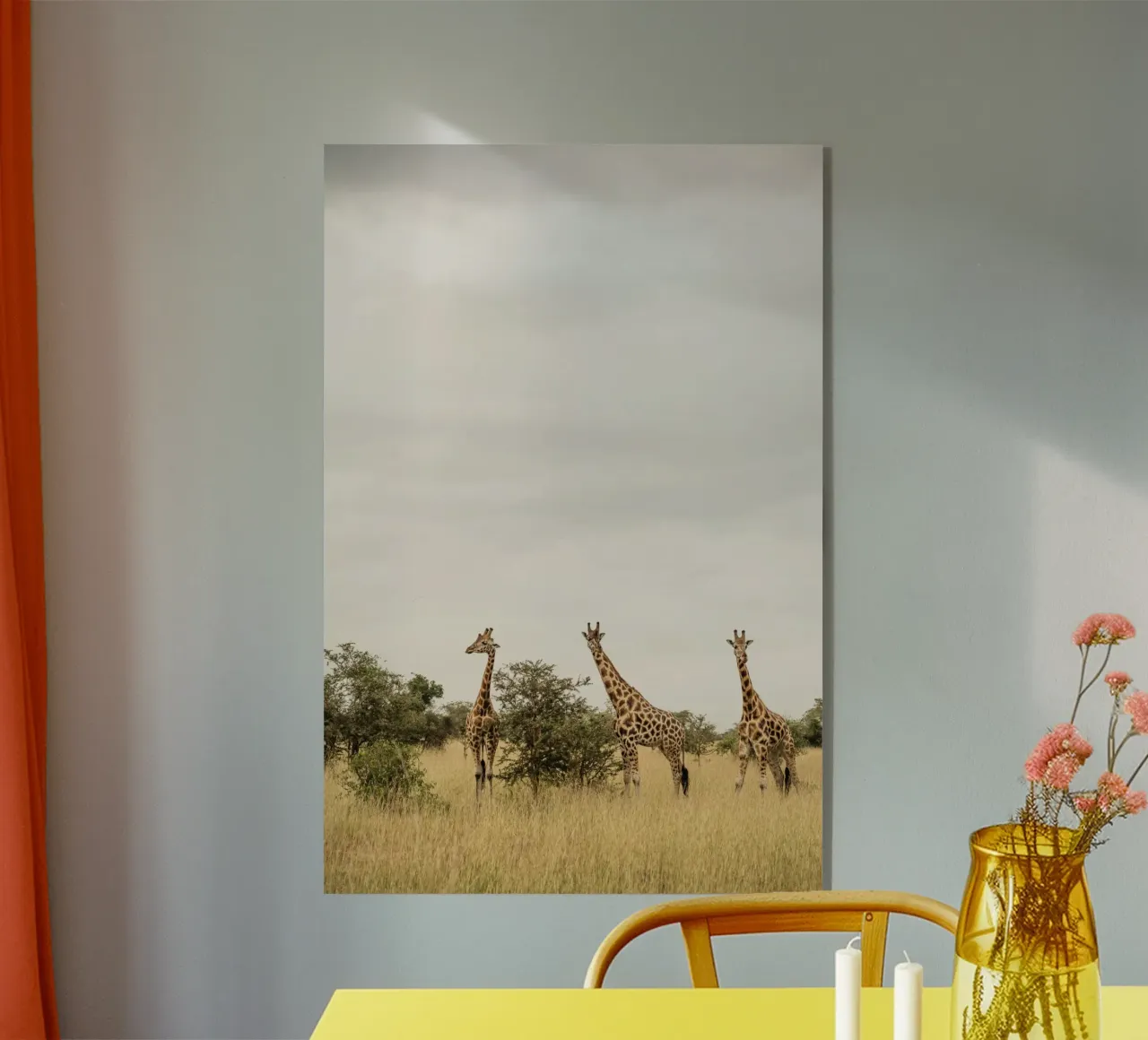Three giraffes on safari plexiglass da photolovers