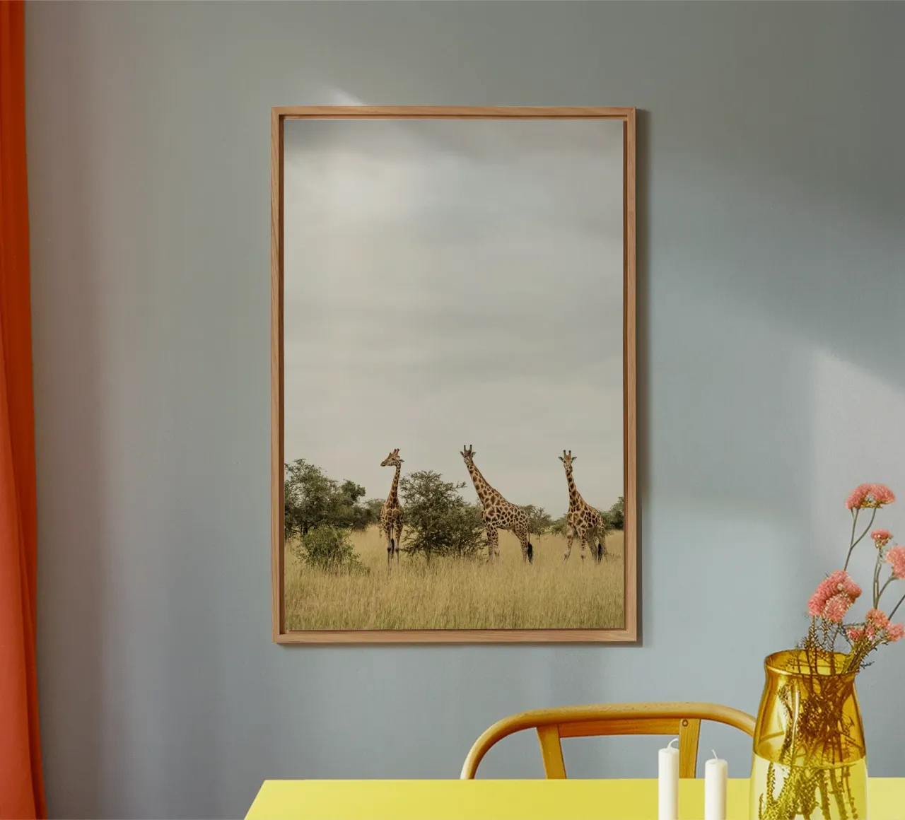 Three giraffes on safari alluminio dibond da photolovers