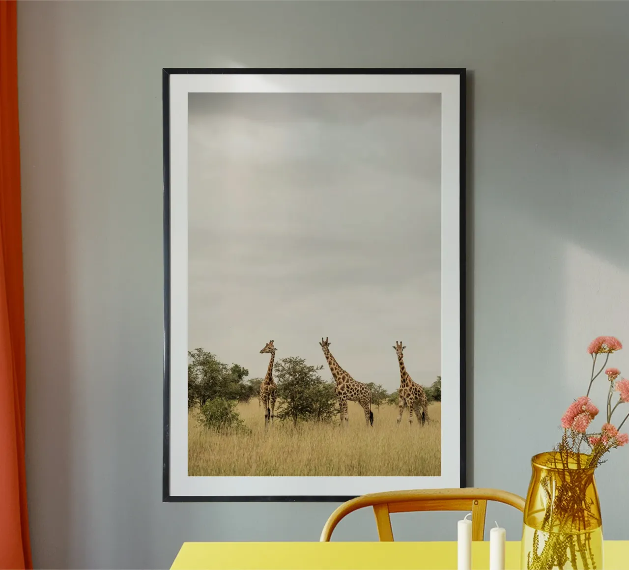 Three giraffes on safari carta hahnemühle da photolovers