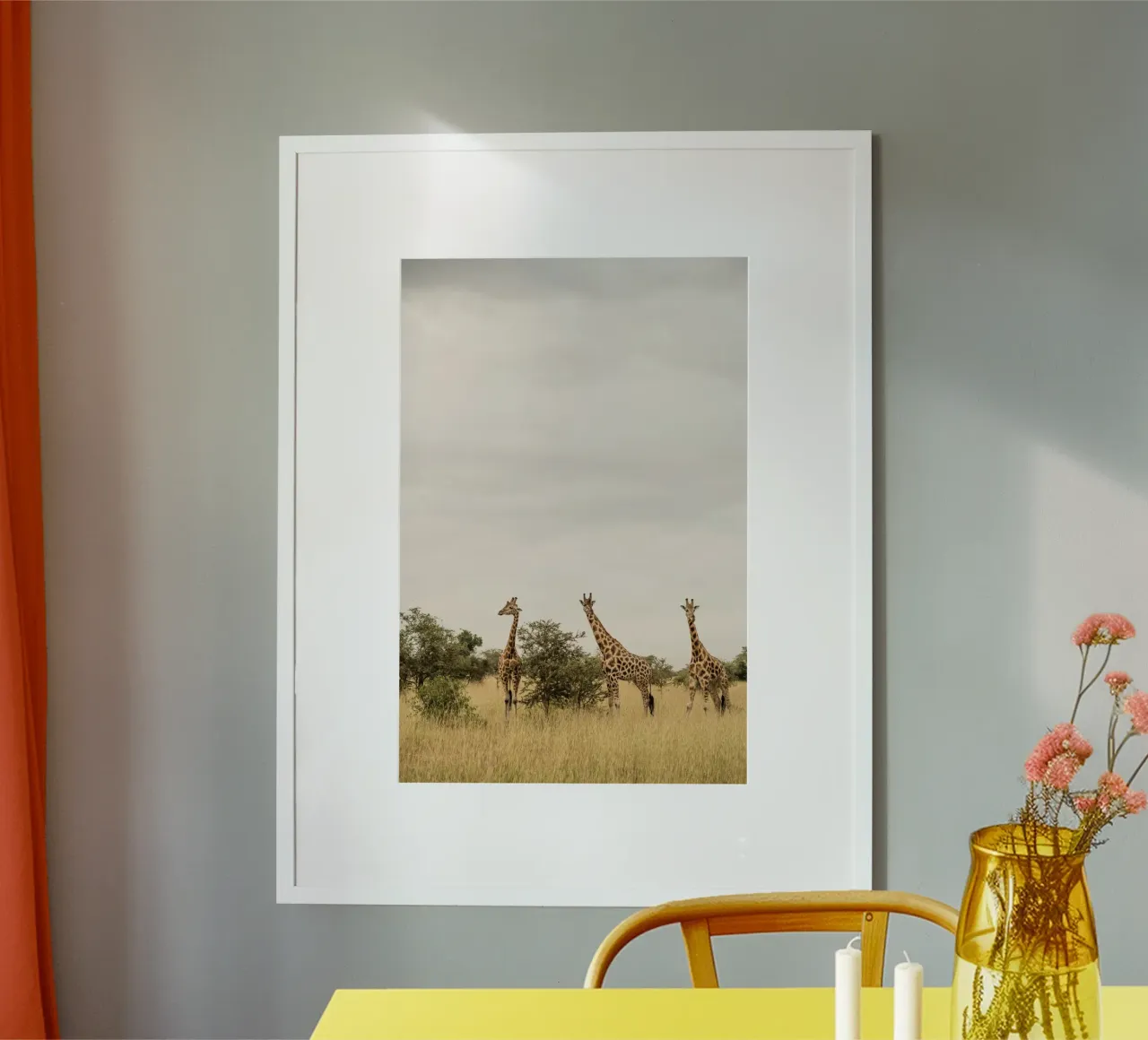 Three giraffes on safari carta hahnemühle da photolovers