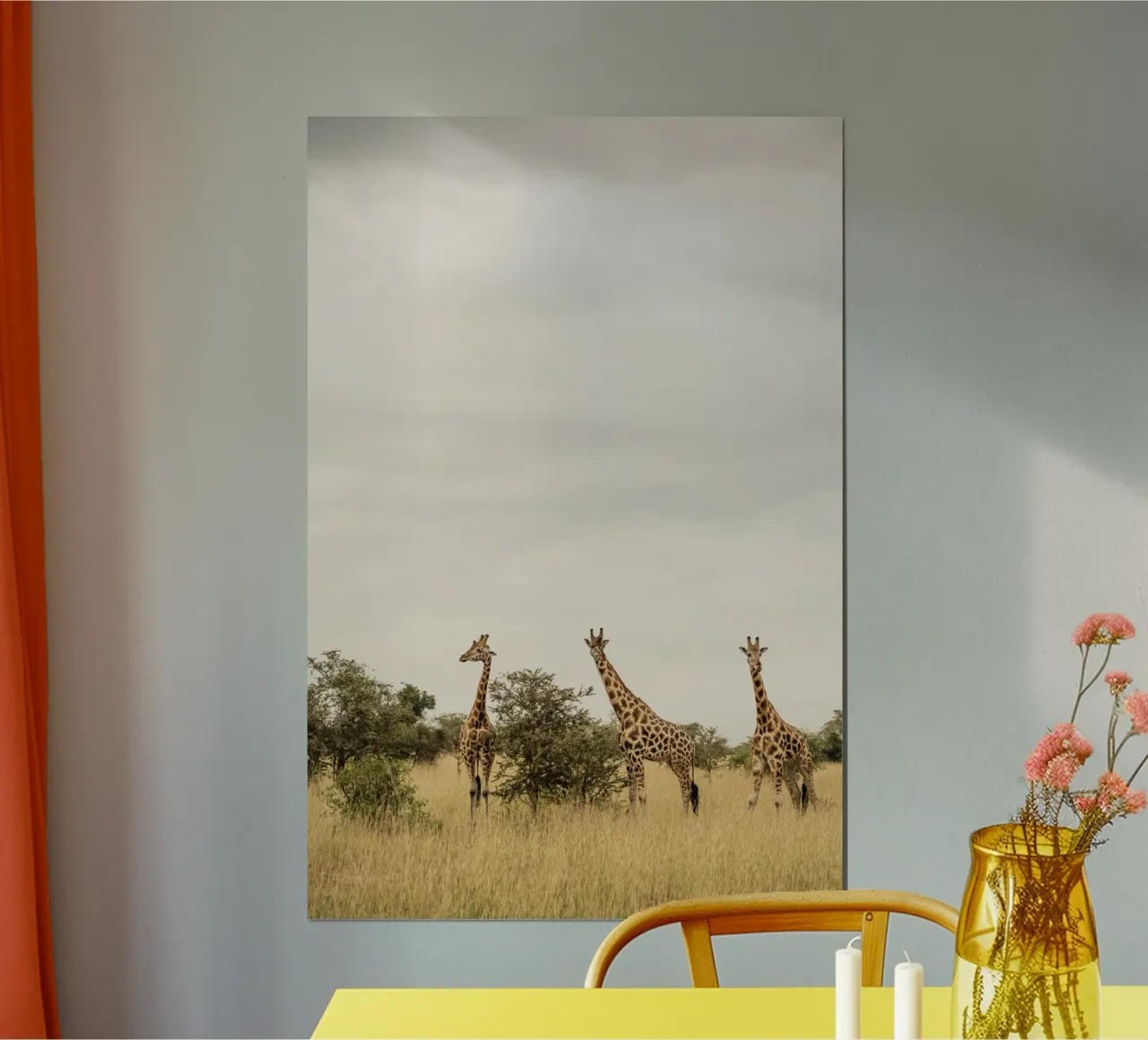 Three giraffes on safari carta hahnemühle da photolovers