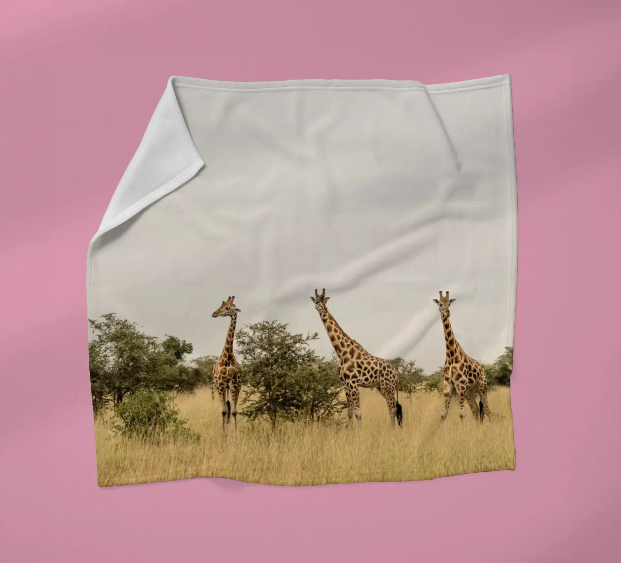 Three giraffes on safari coperta in pile da photolovers