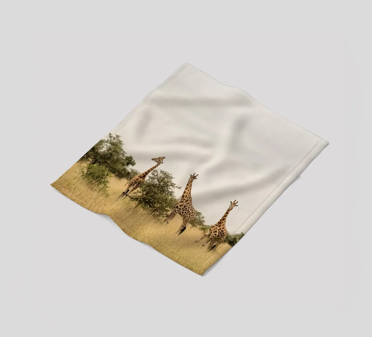 Three giraffes on safari coperta in pile da photolovers