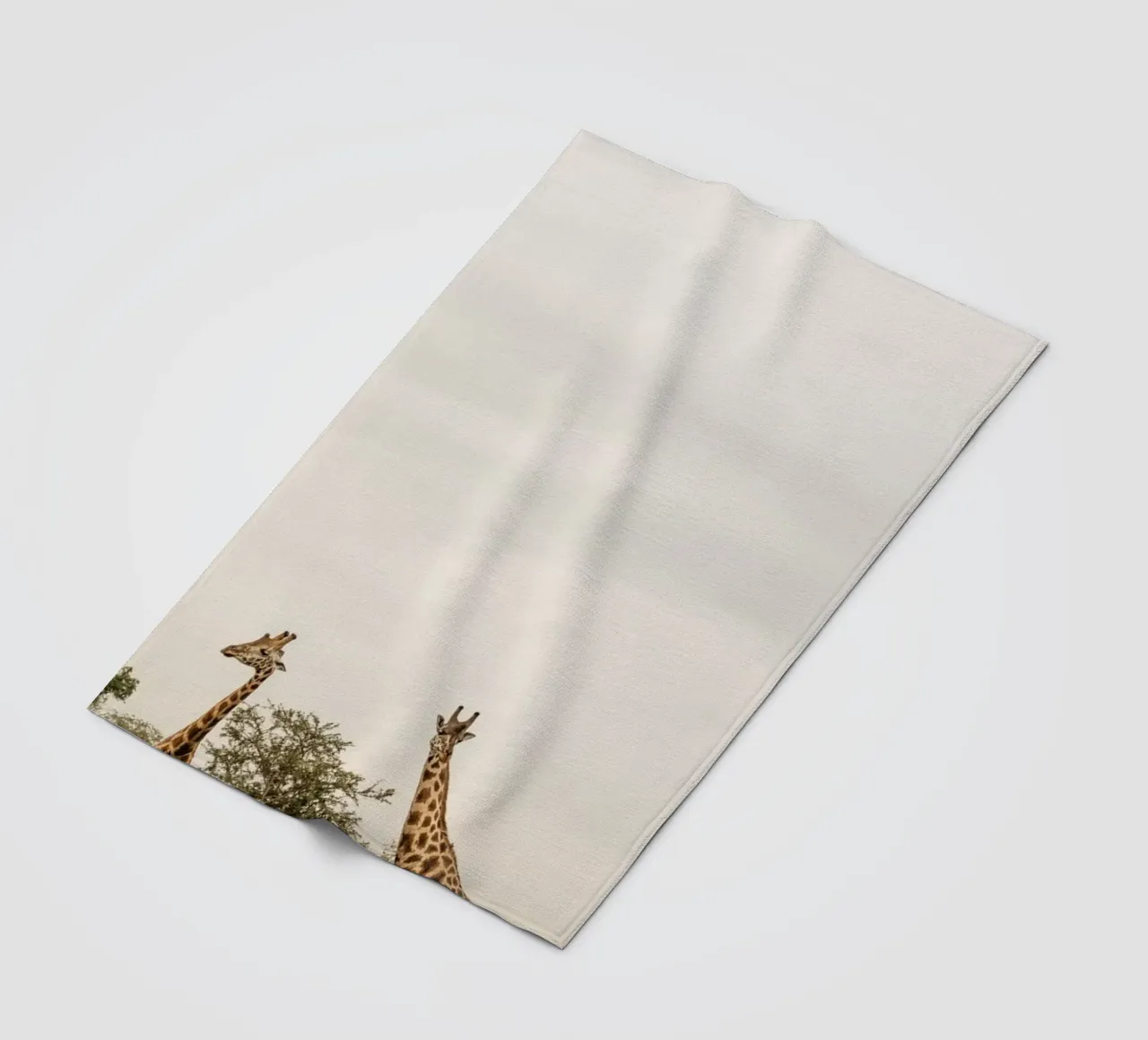 Three giraffes on safari coperta in pile da photolovers