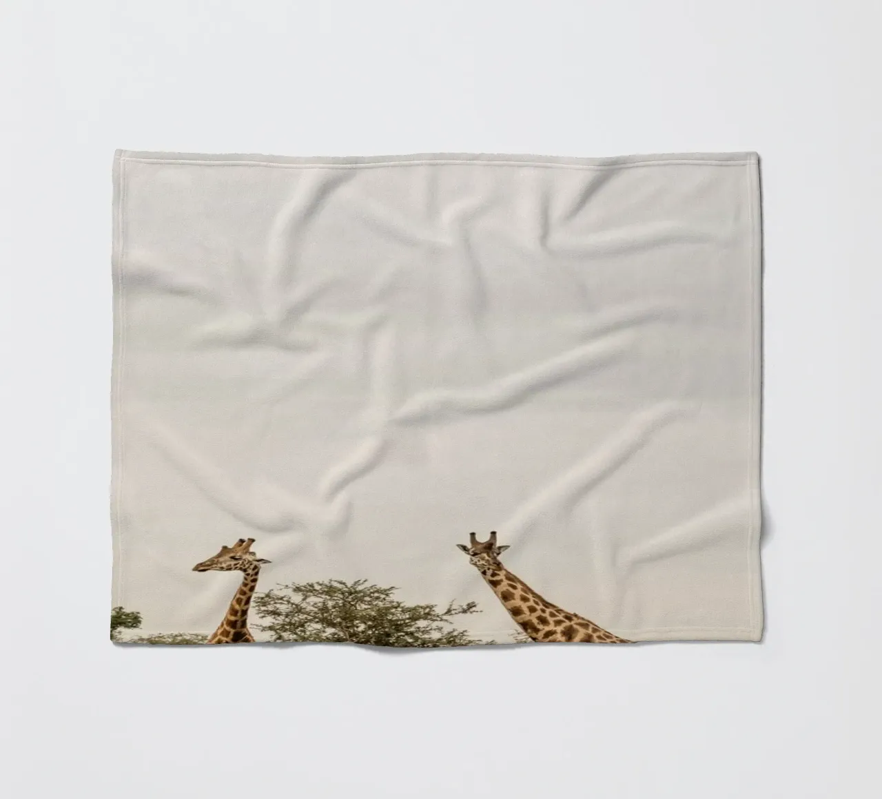 Three giraffes on safari coperta in pile da photolovers