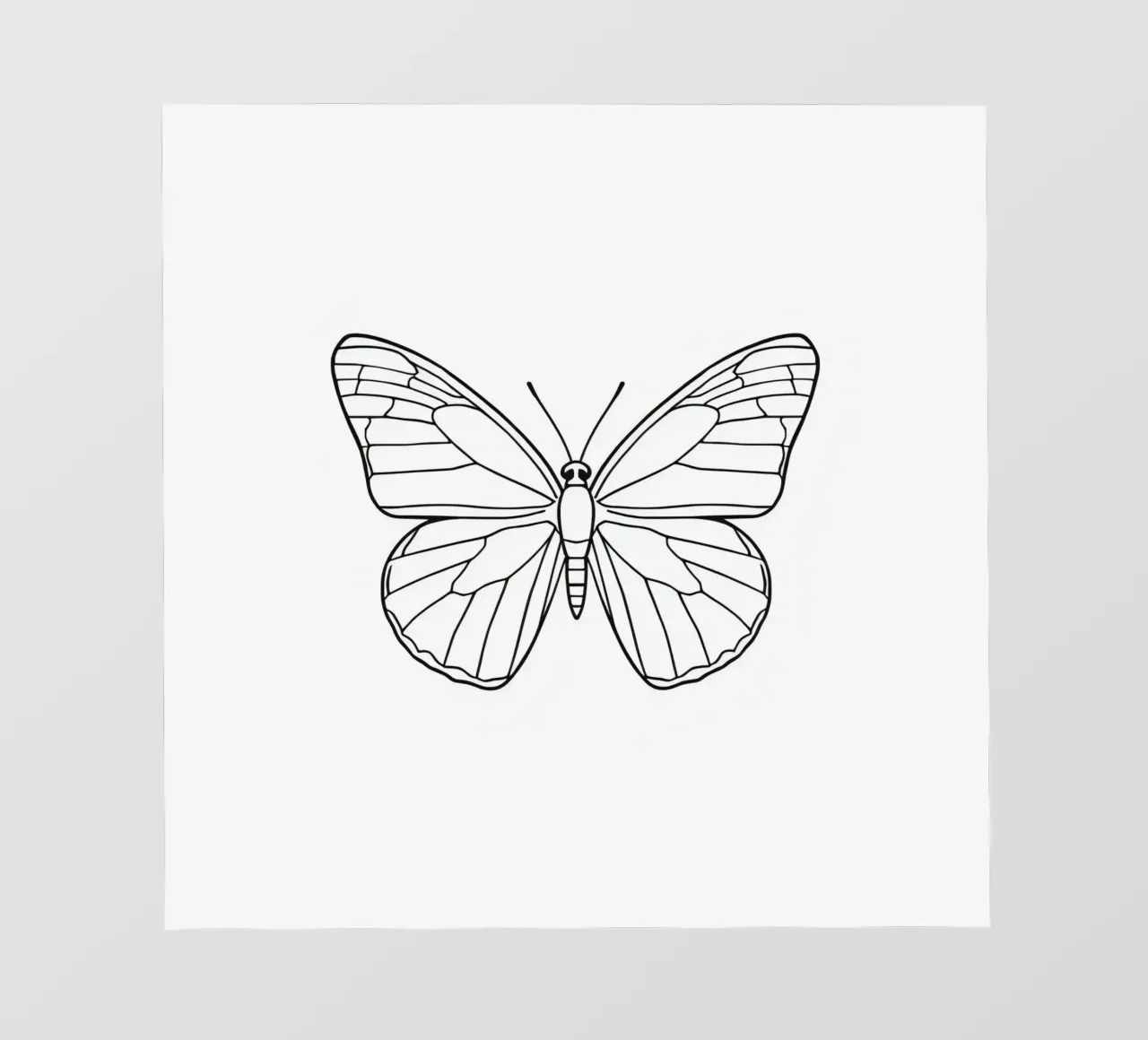 butterfly displaying intricate linework and elegant symmetry backlit film by DesignDoodle