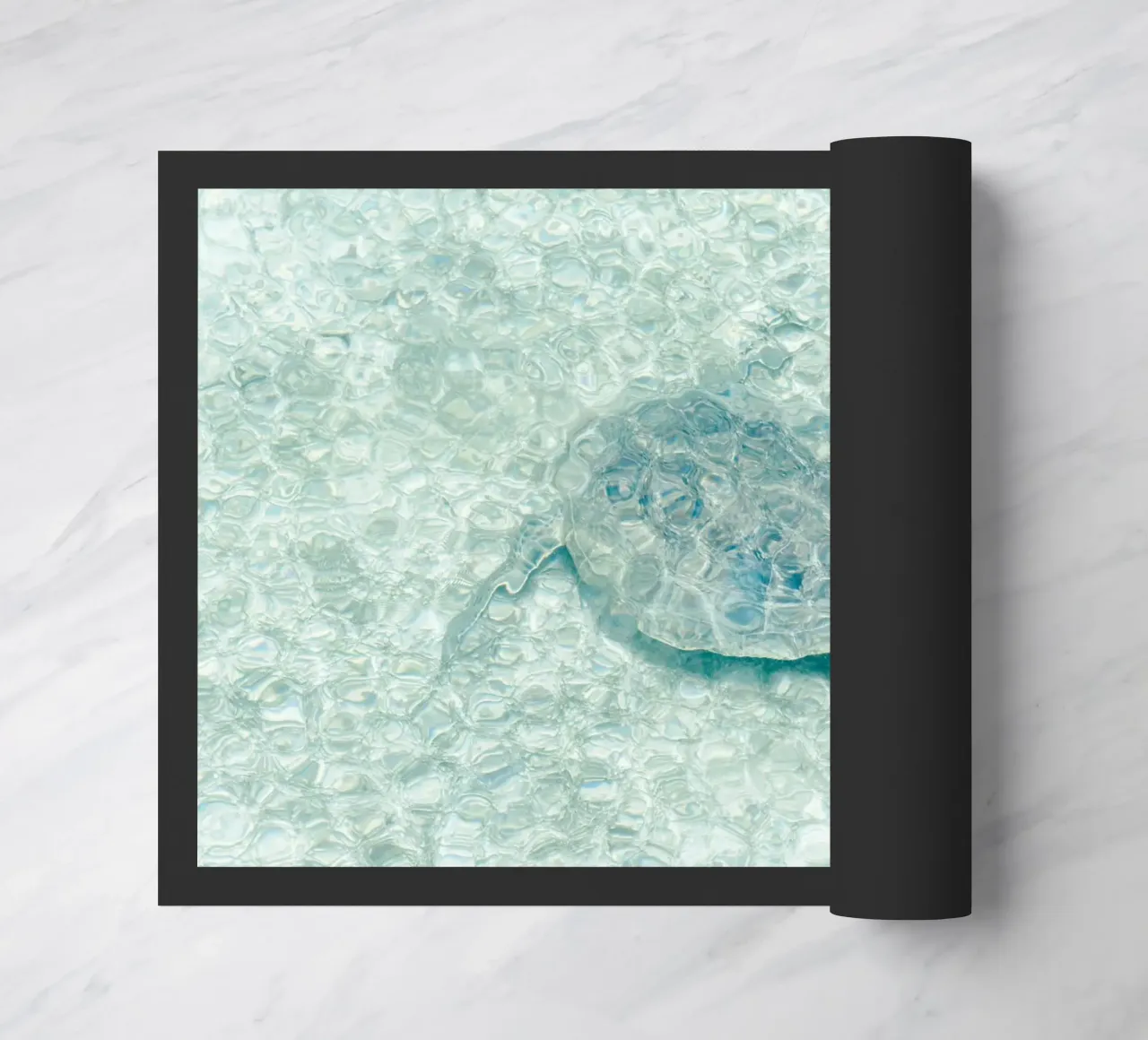 Turtle zerbino da photolovers