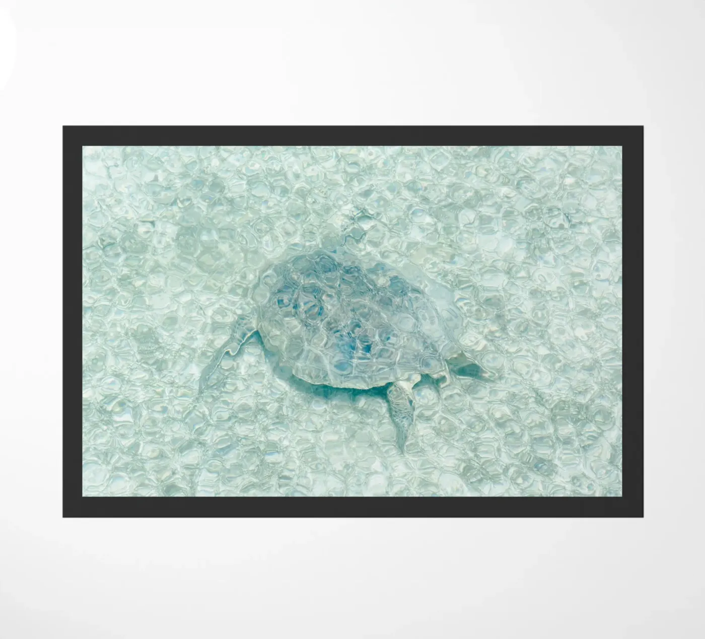 Turtle deurmat van photolovers