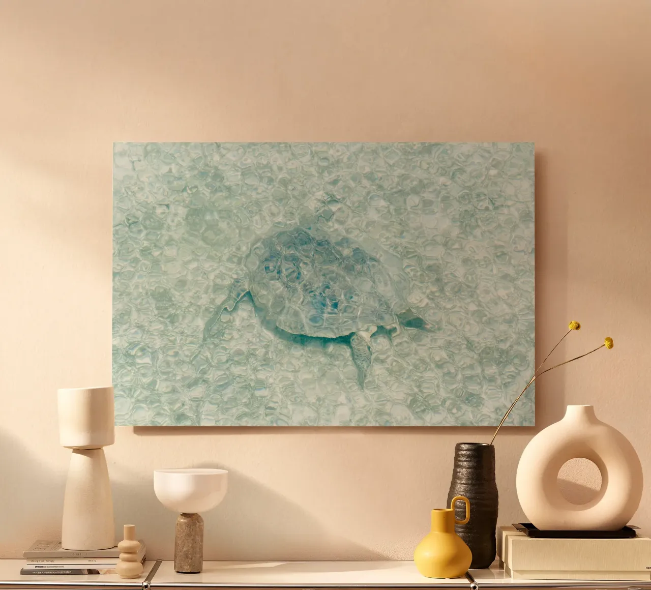 Turtle forex plate by photolovers