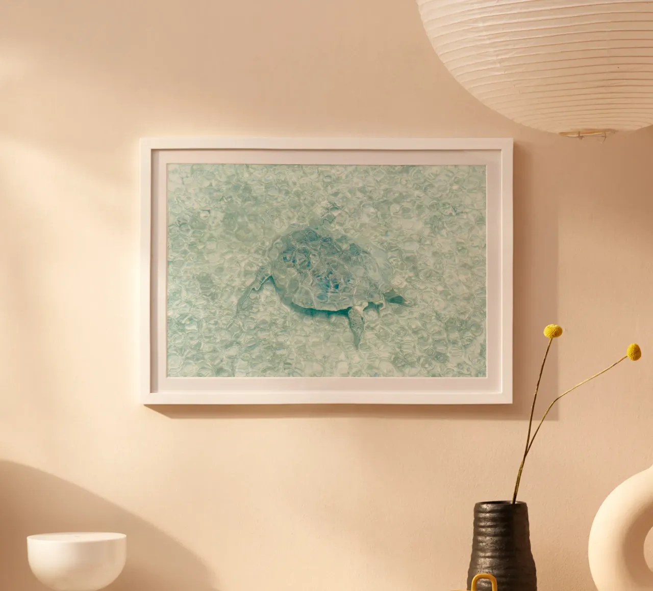 Turtle poster da photolovers