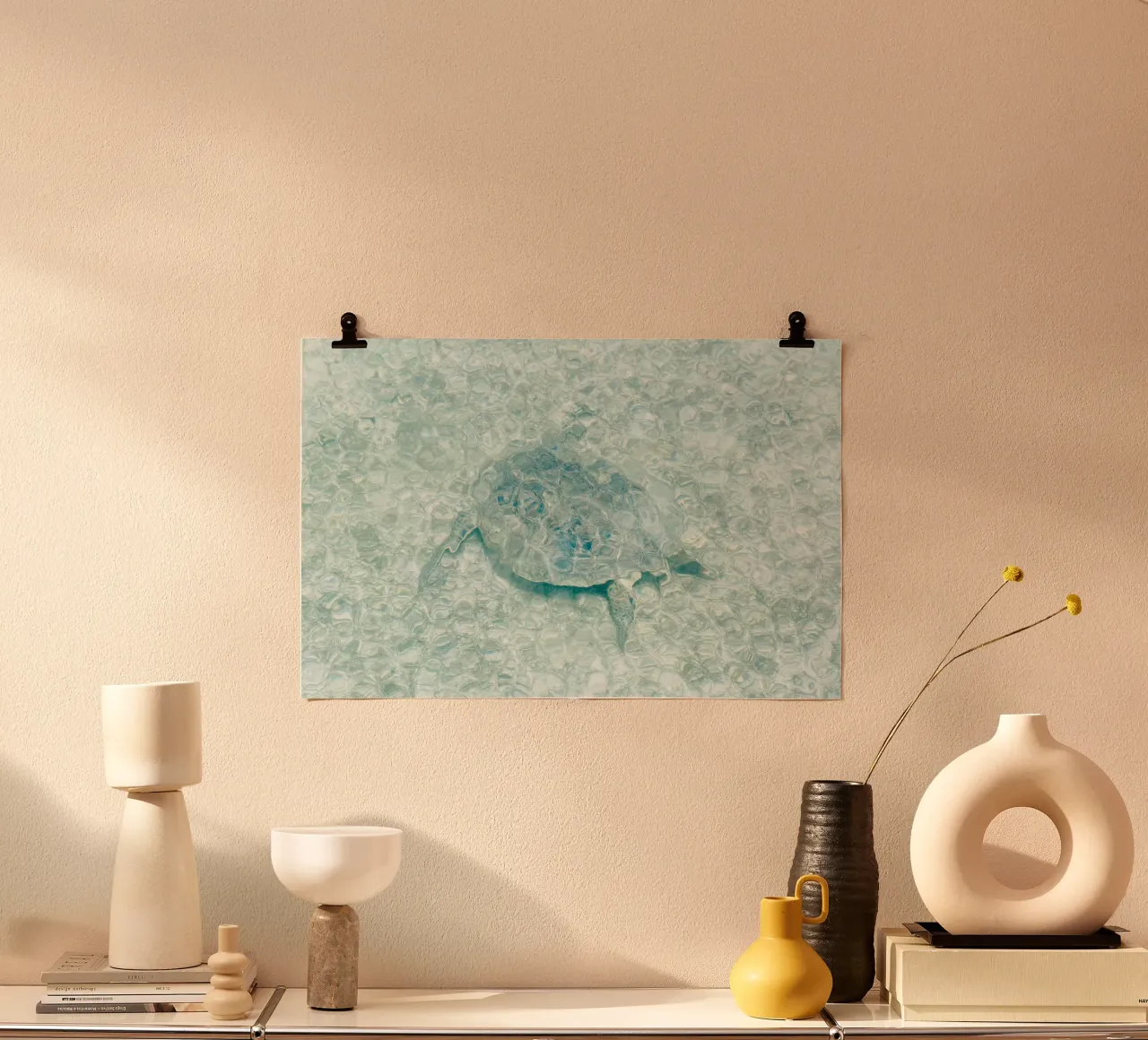 Turtle poster da photolovers