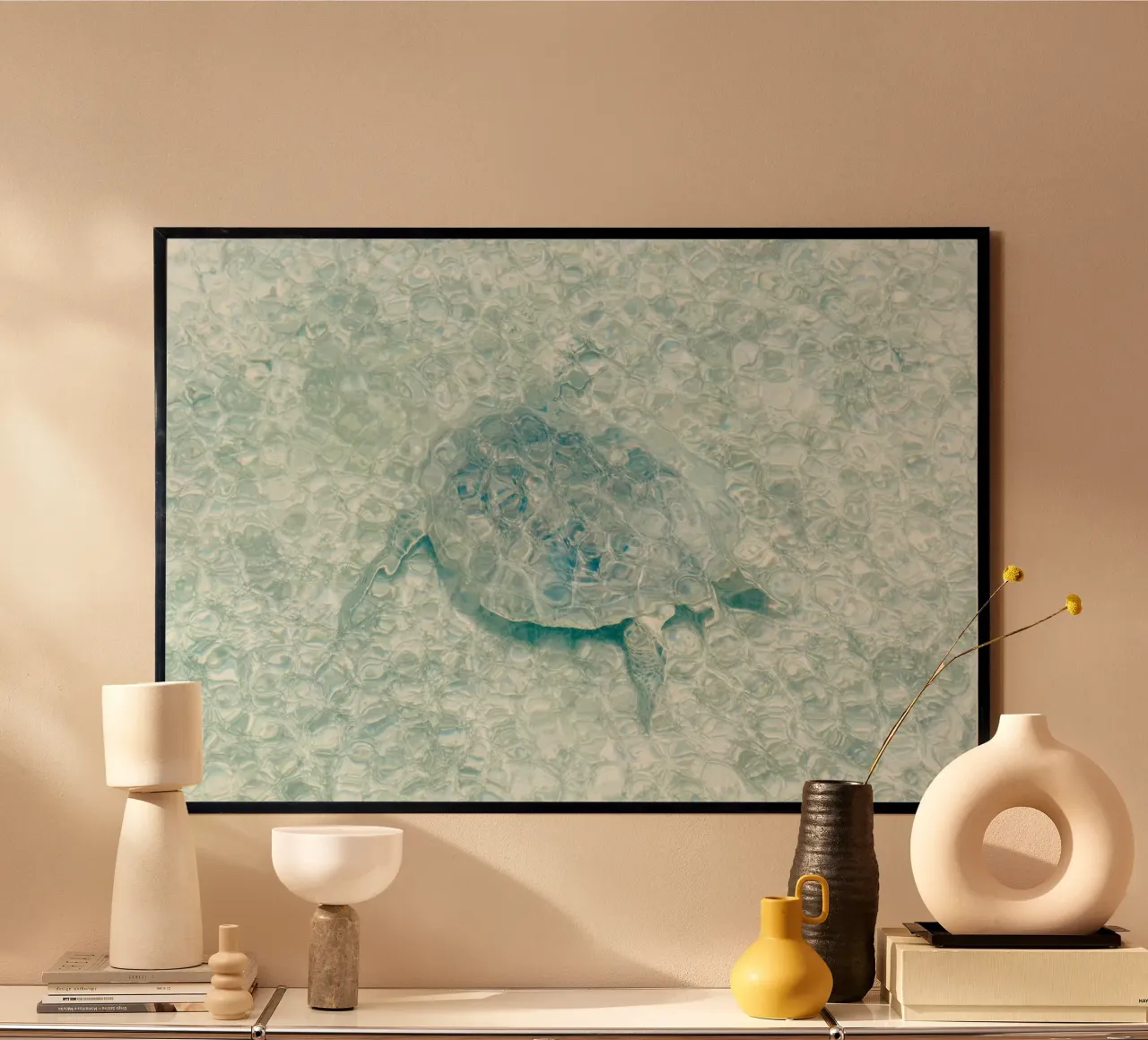 Turtle poster da photolovers