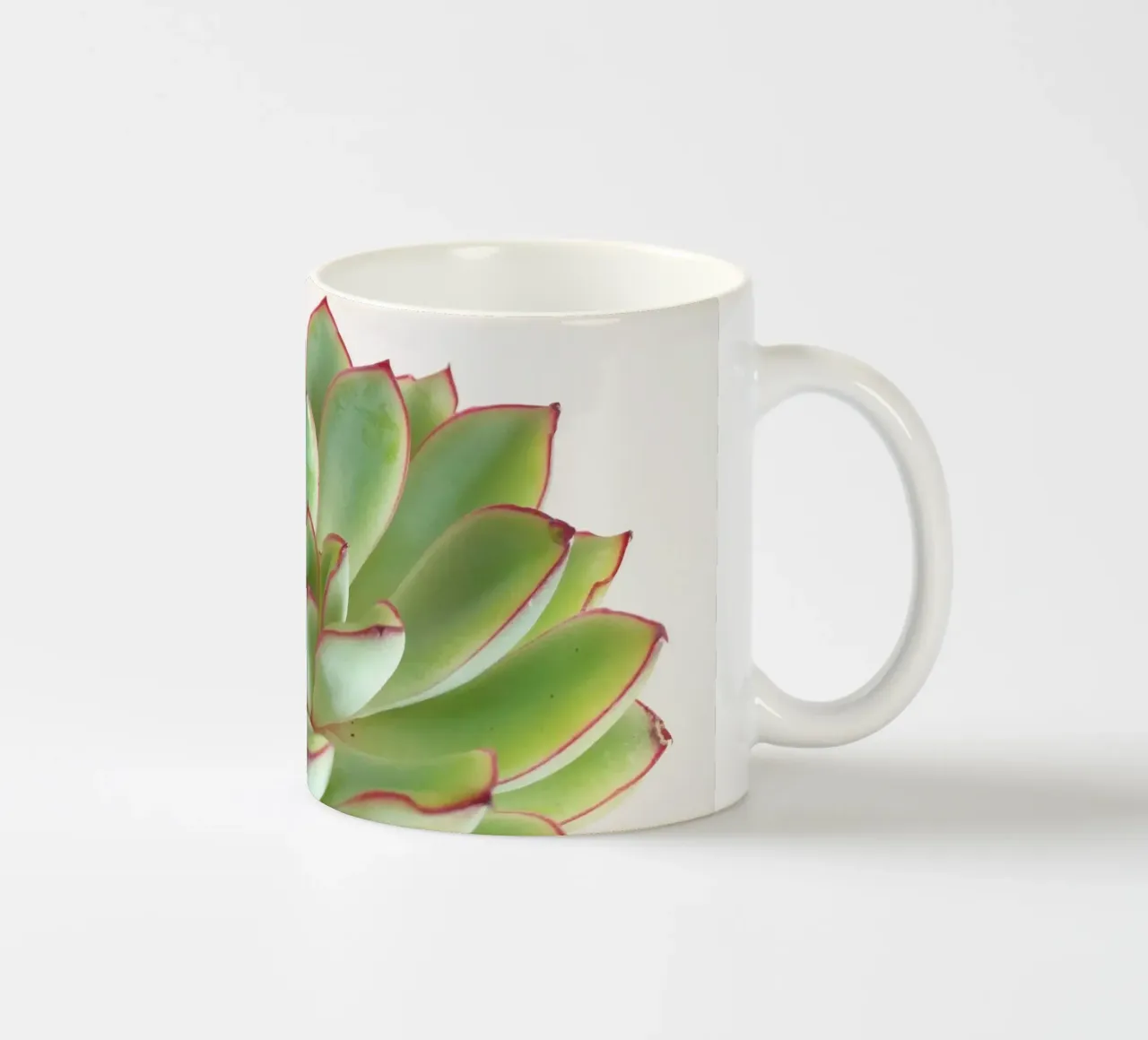 Succulente verdi tazza in ceramica da Cassia Beck Photography