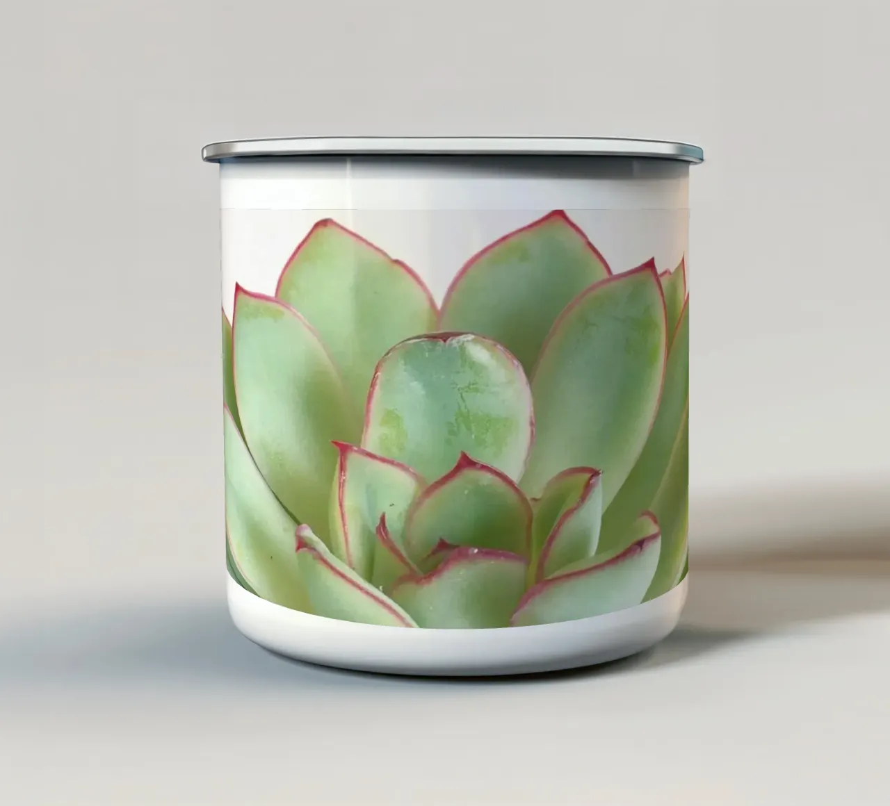 Succulente verdi tazza in smalto da Cassia Beck Photography