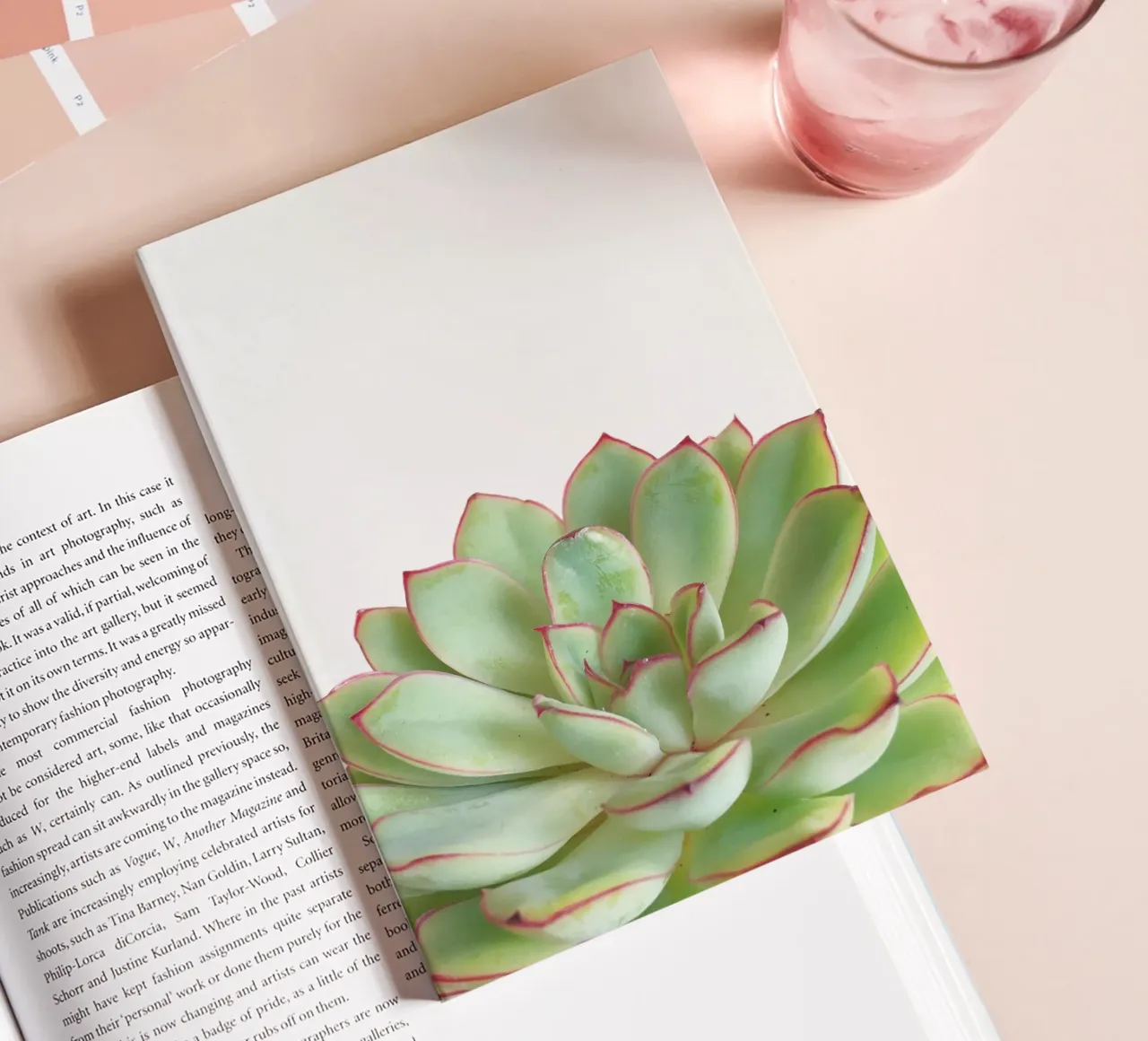 Green Succulent notebook by Cassia Beck Photography