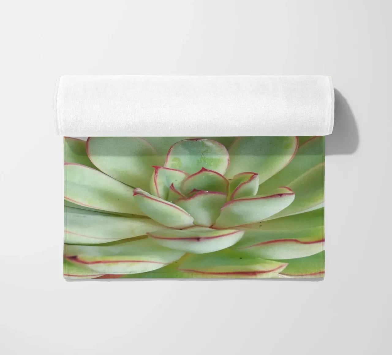 Succulente verdi telo mare da Cassia Beck Photography