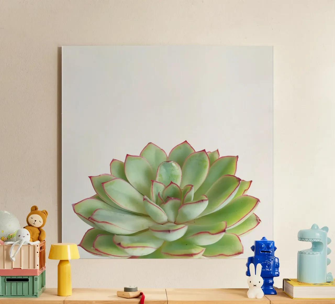 Succulente verdi plexiglass da Cassia Beck Photography