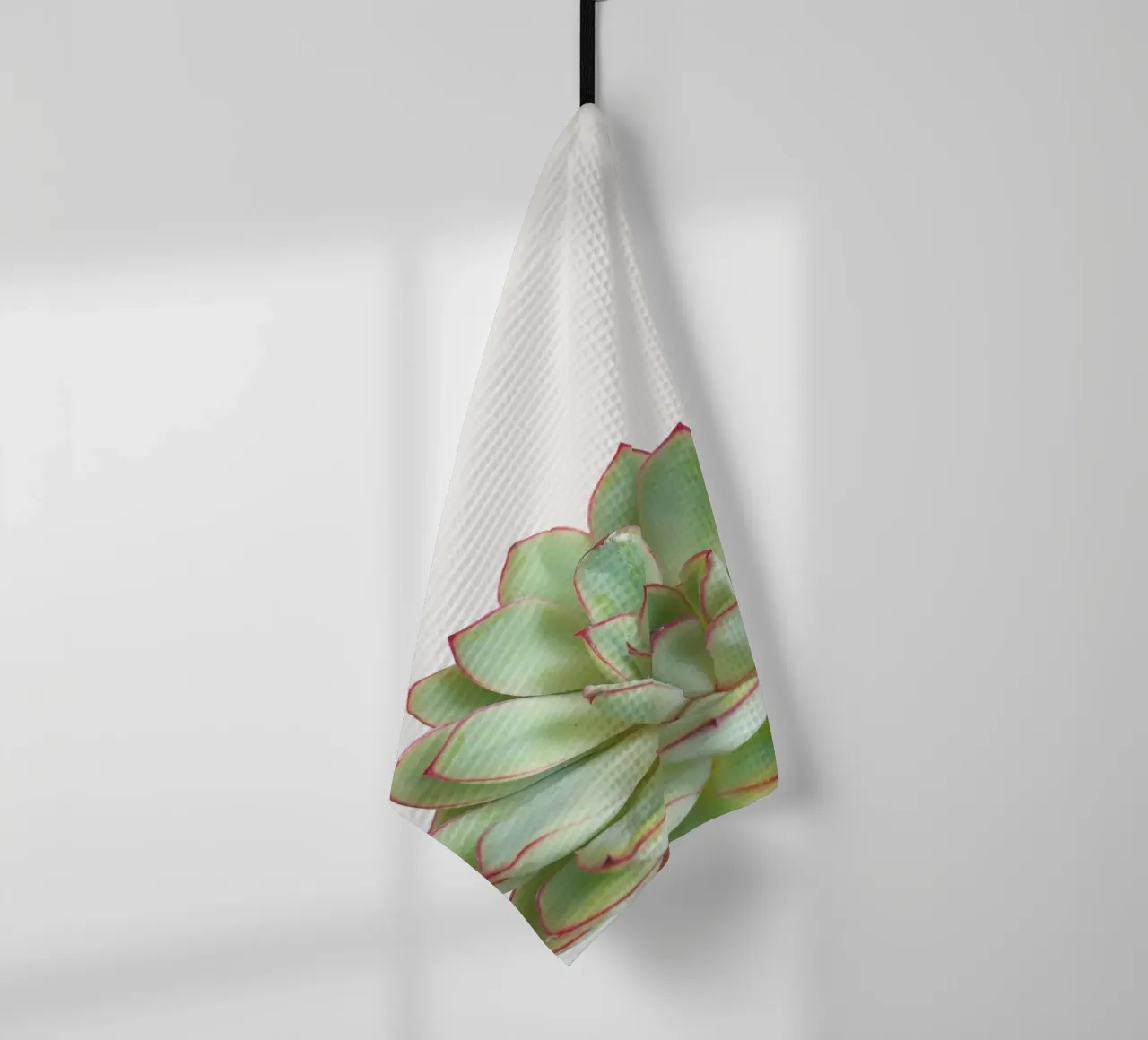 Succulente verdi canovaccio da cucina da Cassia Beck Photography
