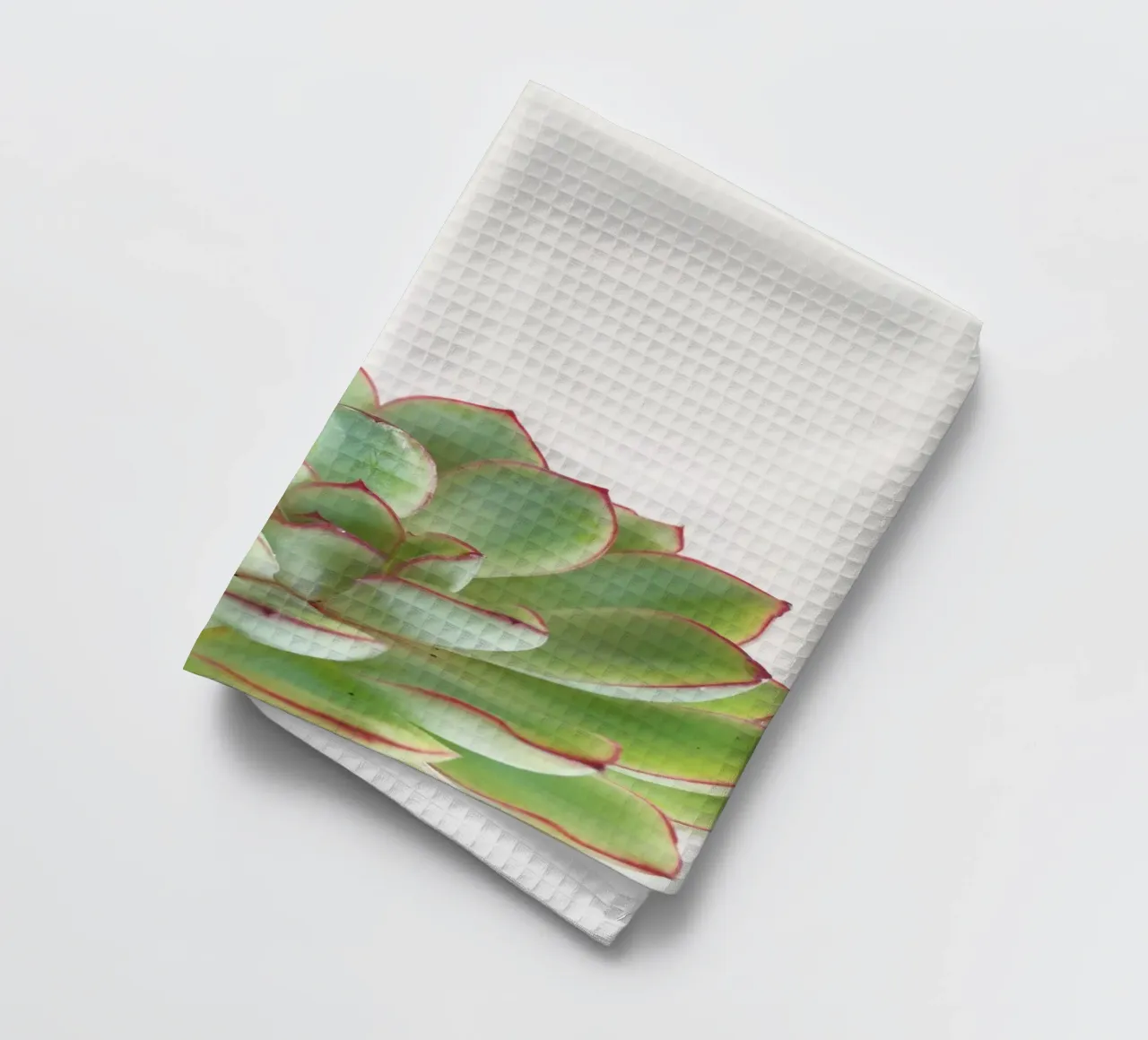 Succulente verdi canovaccio da cucina da Cassia Beck Photography