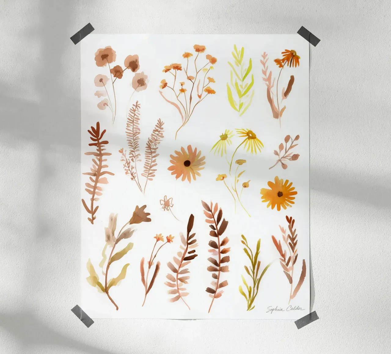 Schizzi d'autunno carta hahnemühle da Sophia Calder Studio